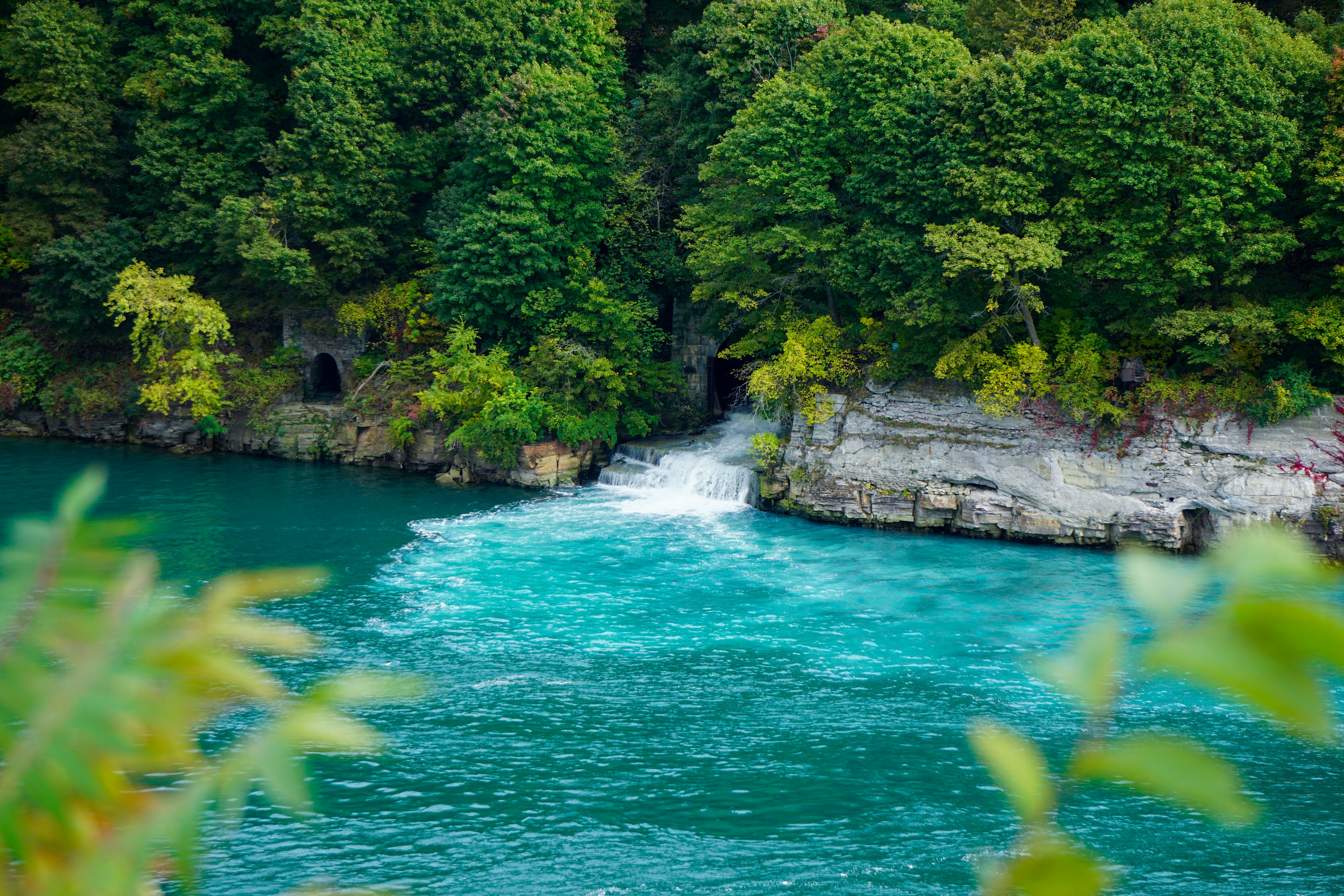 Photo by rollerroller8