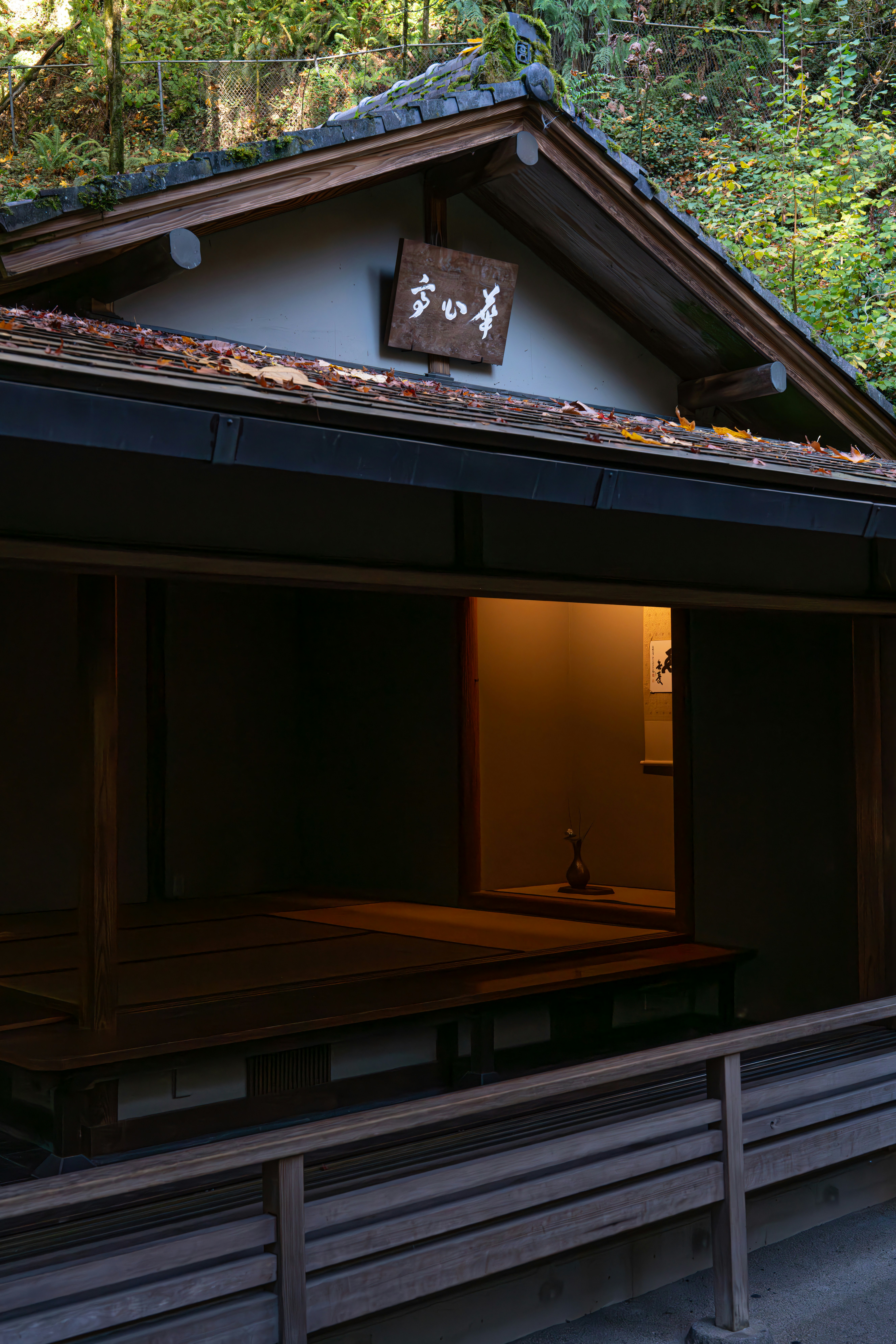 Photo by fortuitousfoto