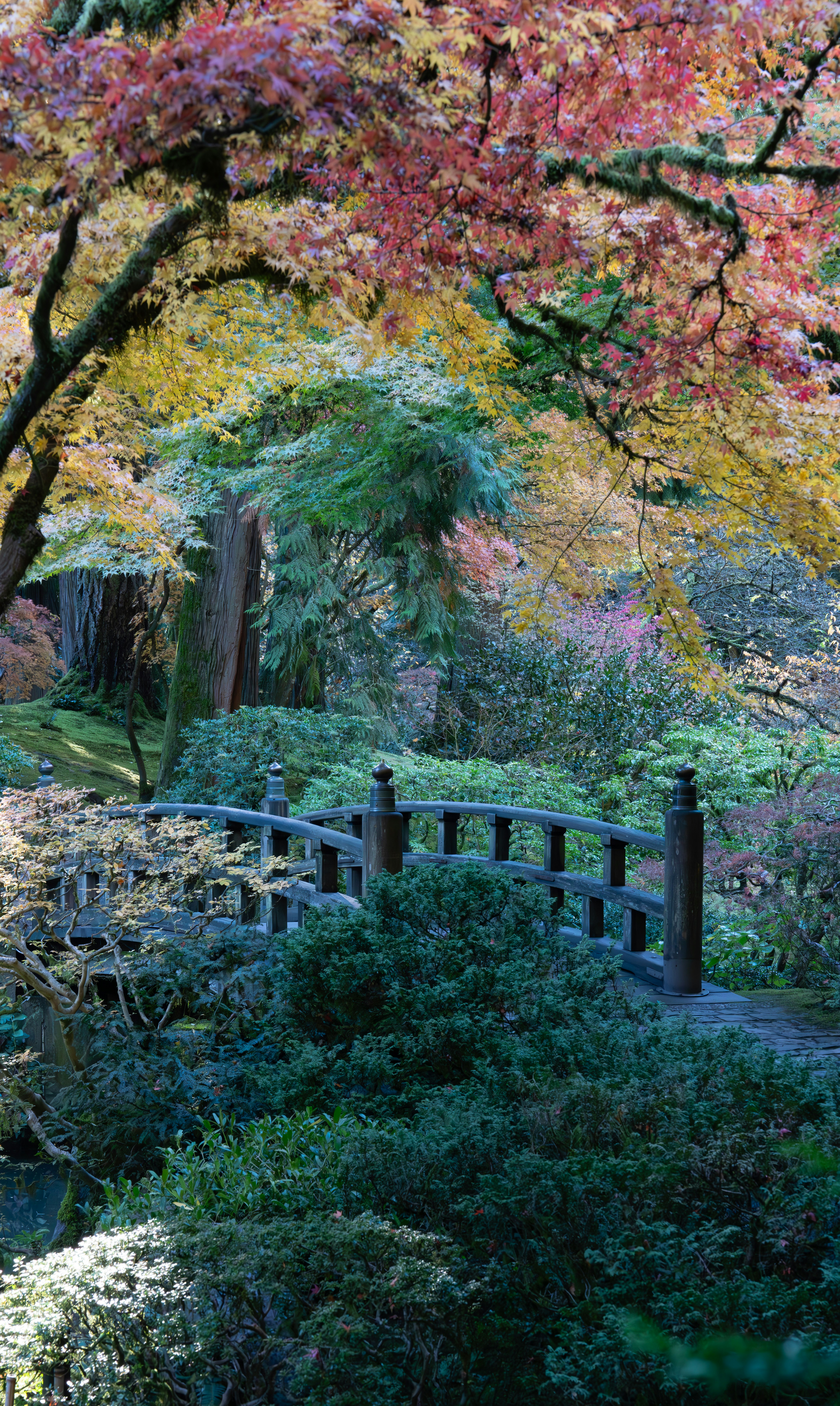 Photo by fortuitousfoto