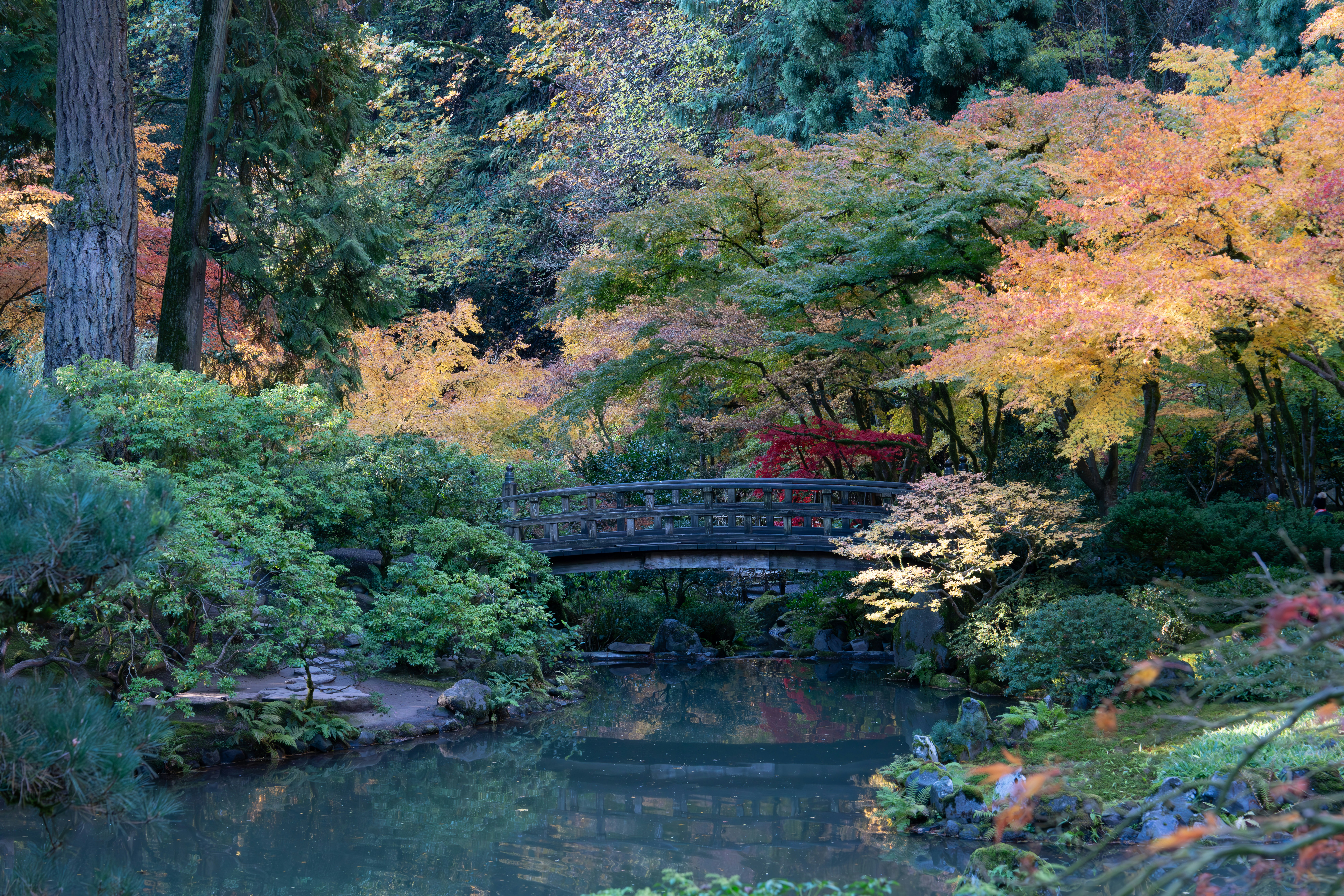 Photo by fortuitousfoto