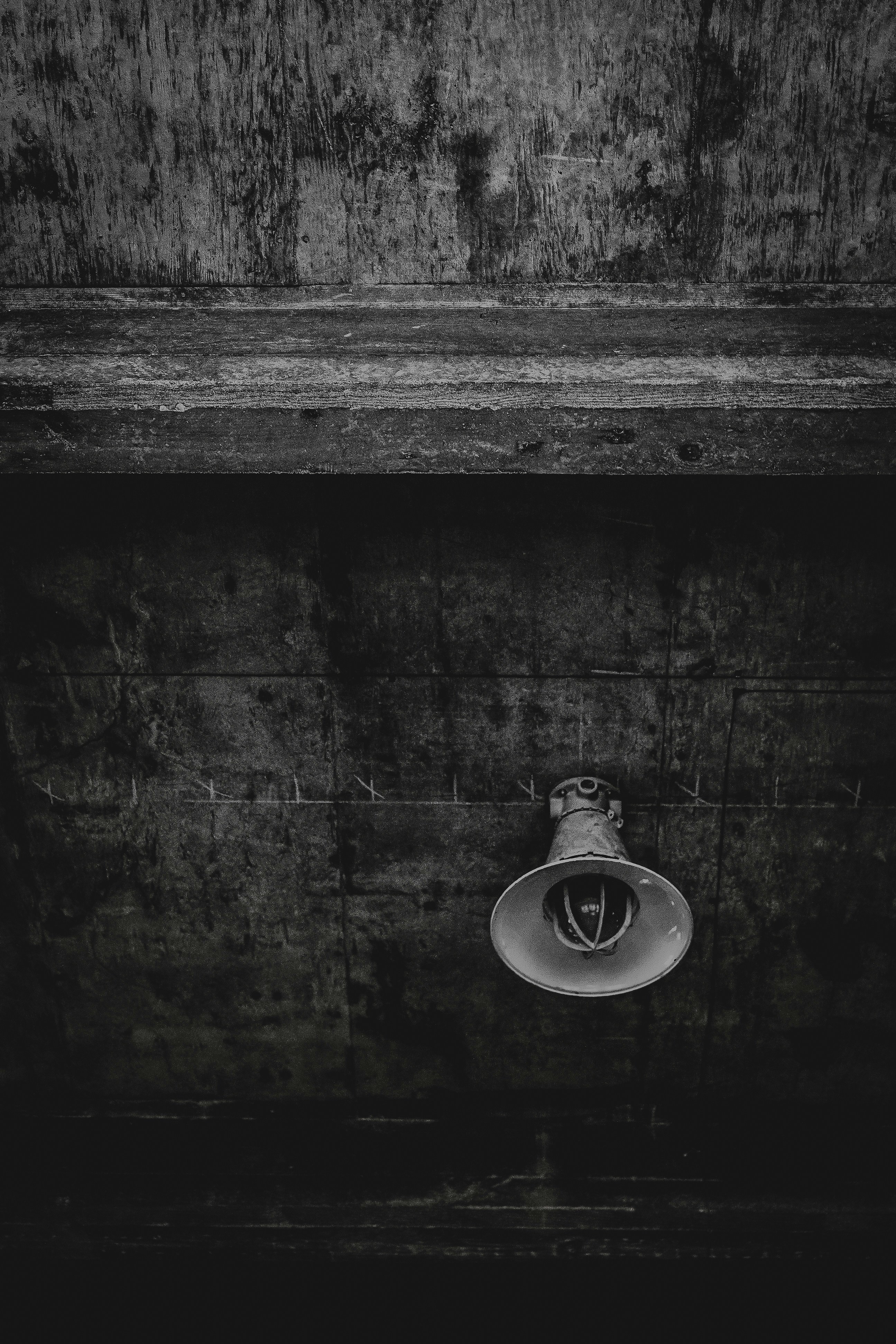 Photo by kalaniparker