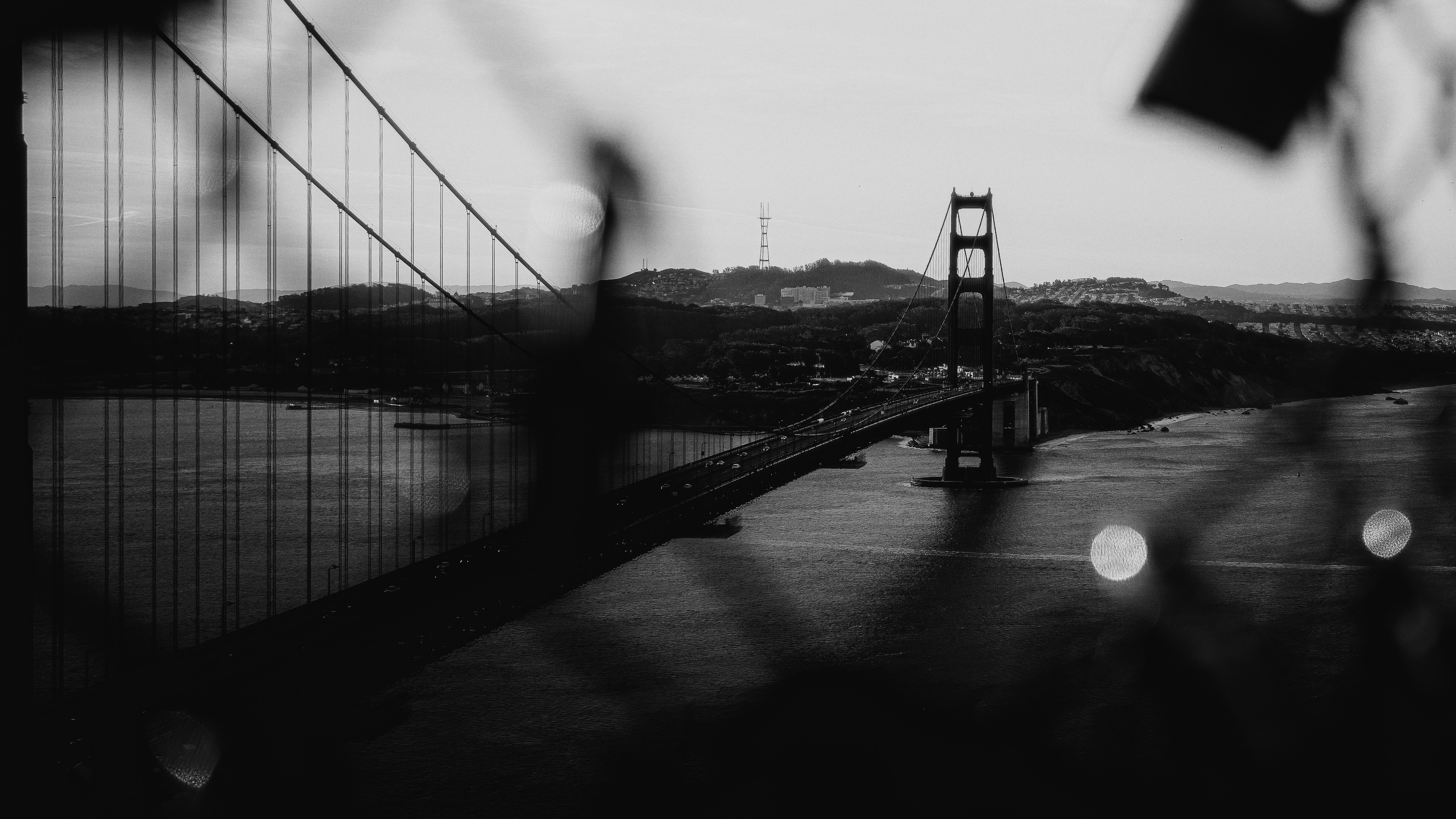 Photo by kalaniparker