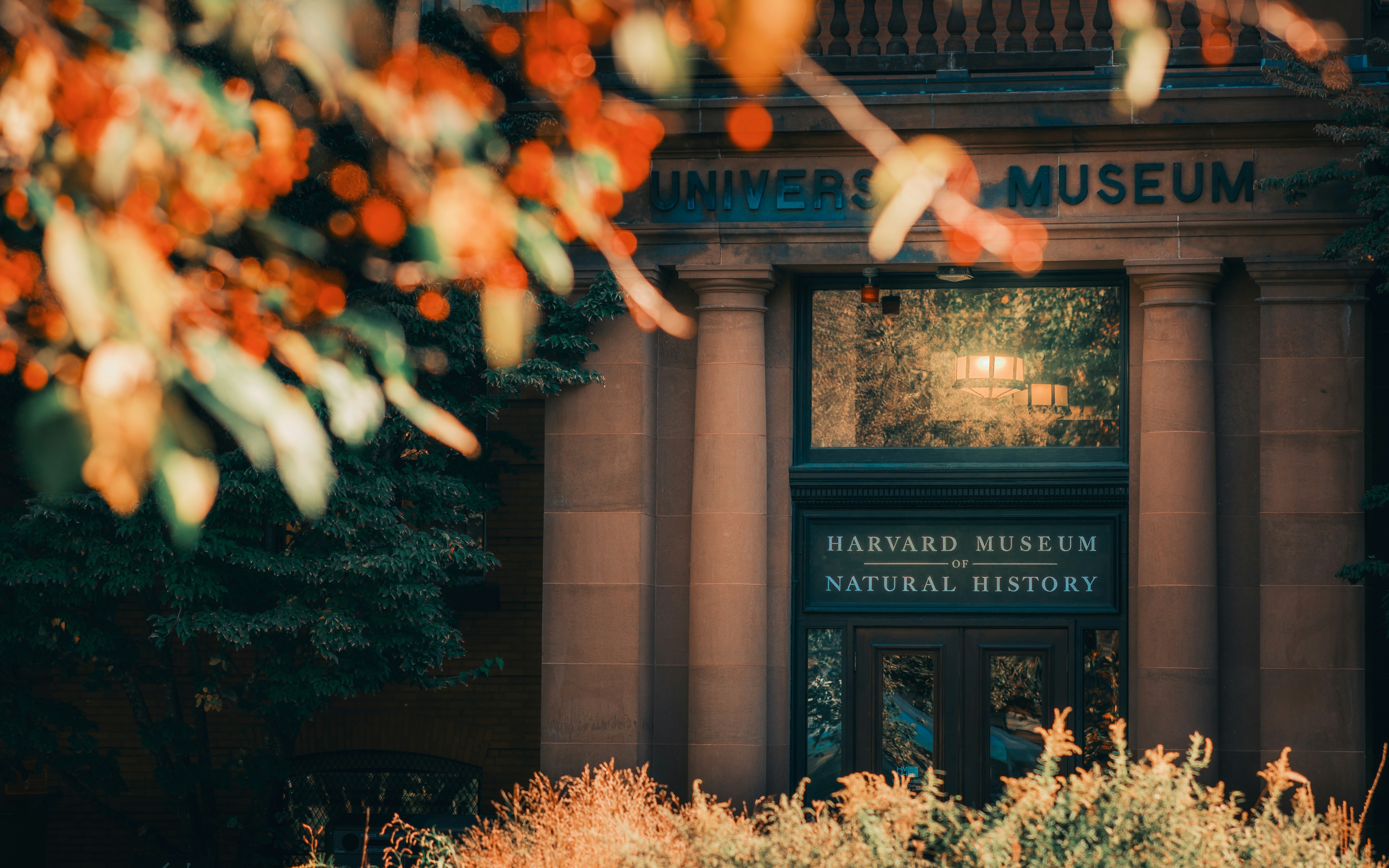 A building that has a bunch of trees in front of it