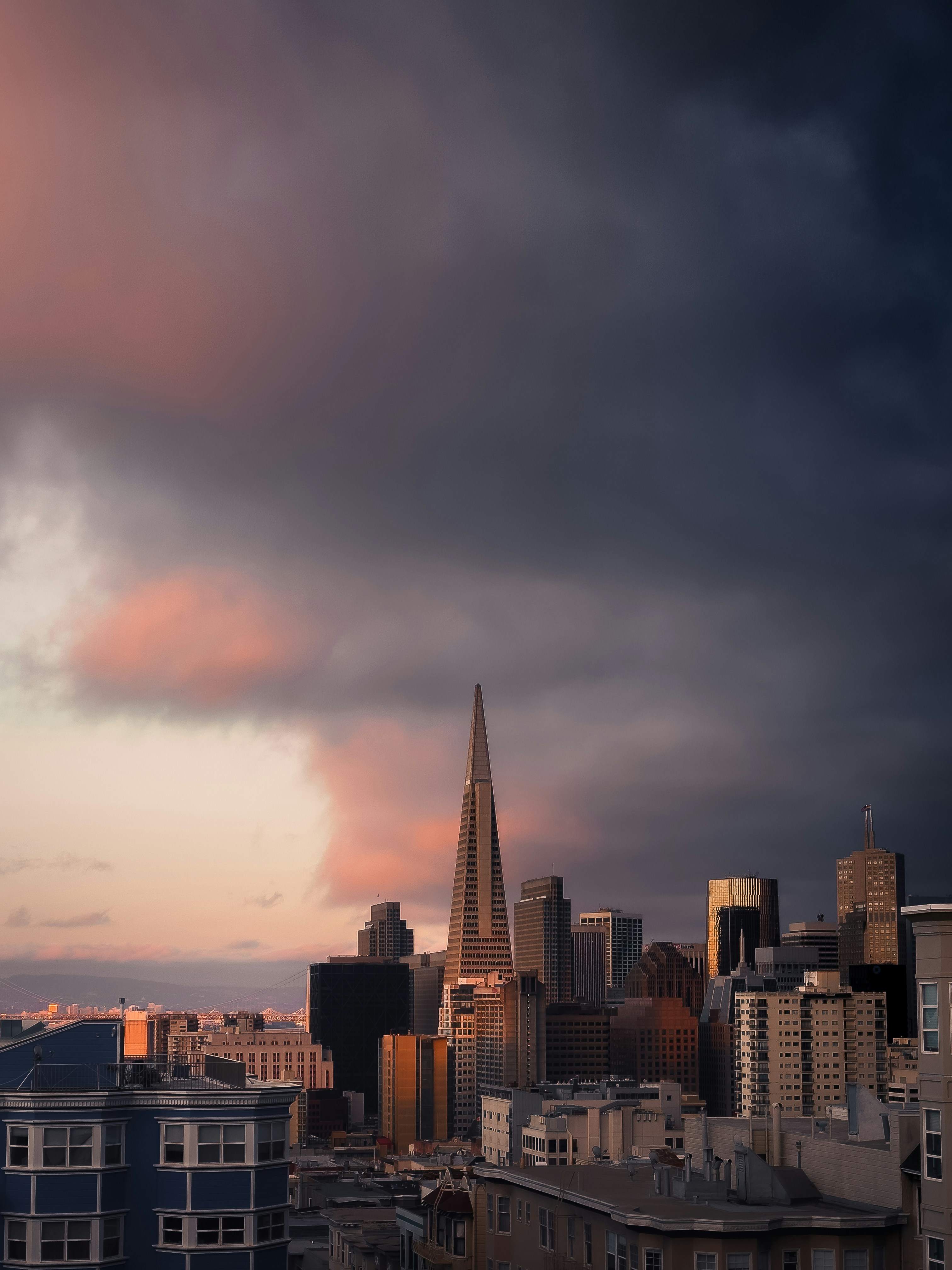 Photo by kalaniparker