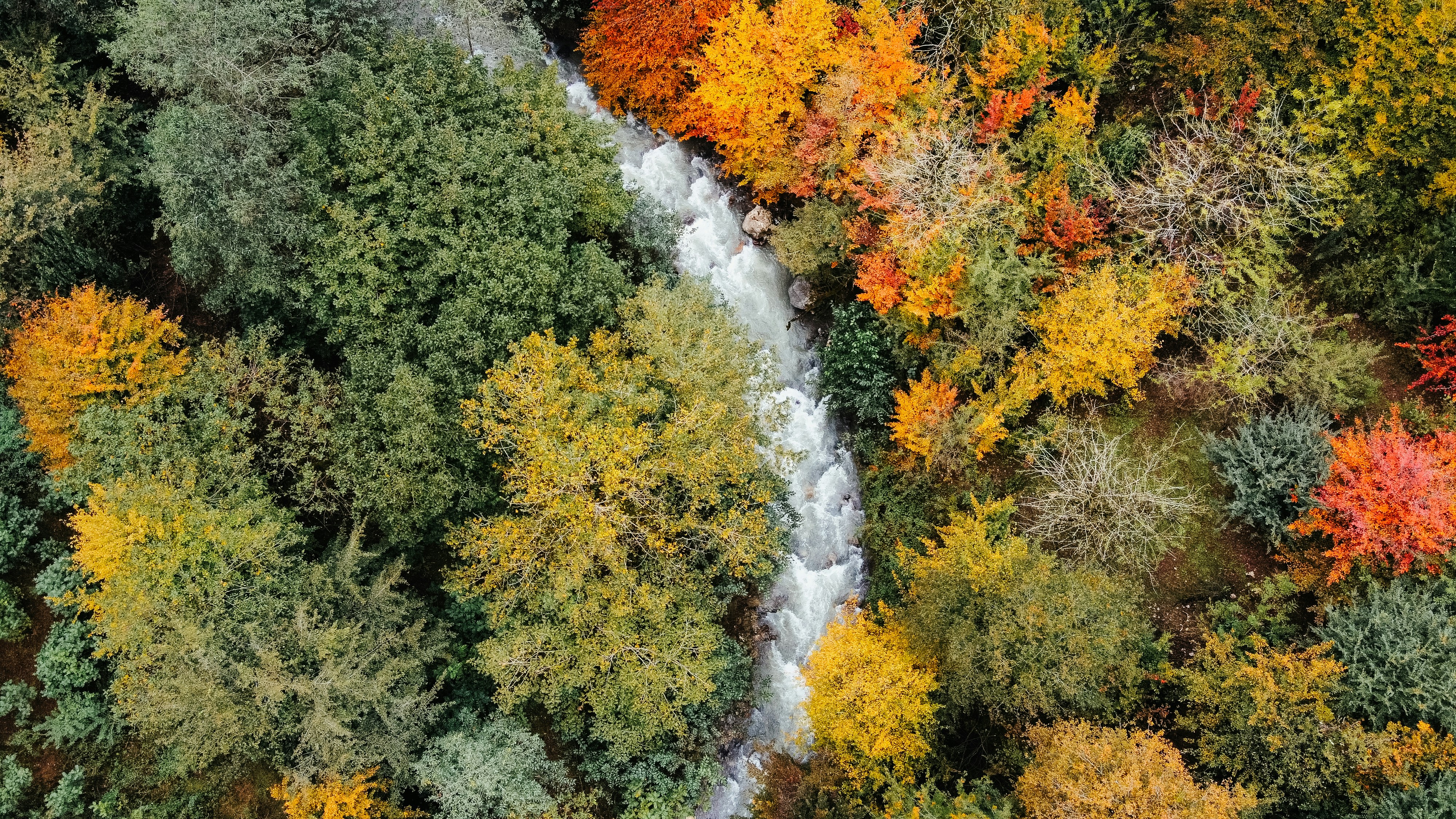 Photo by habibeskandari