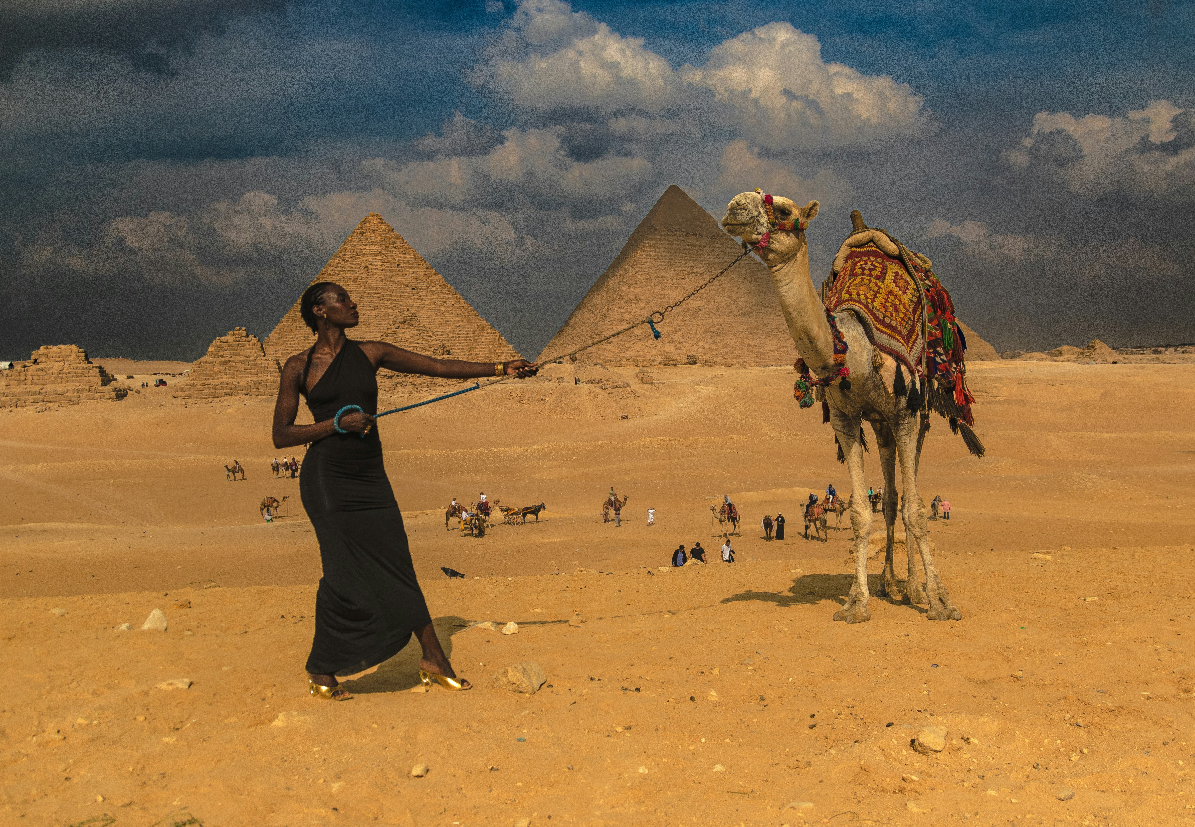 A woman in a black dress standing next to a camel