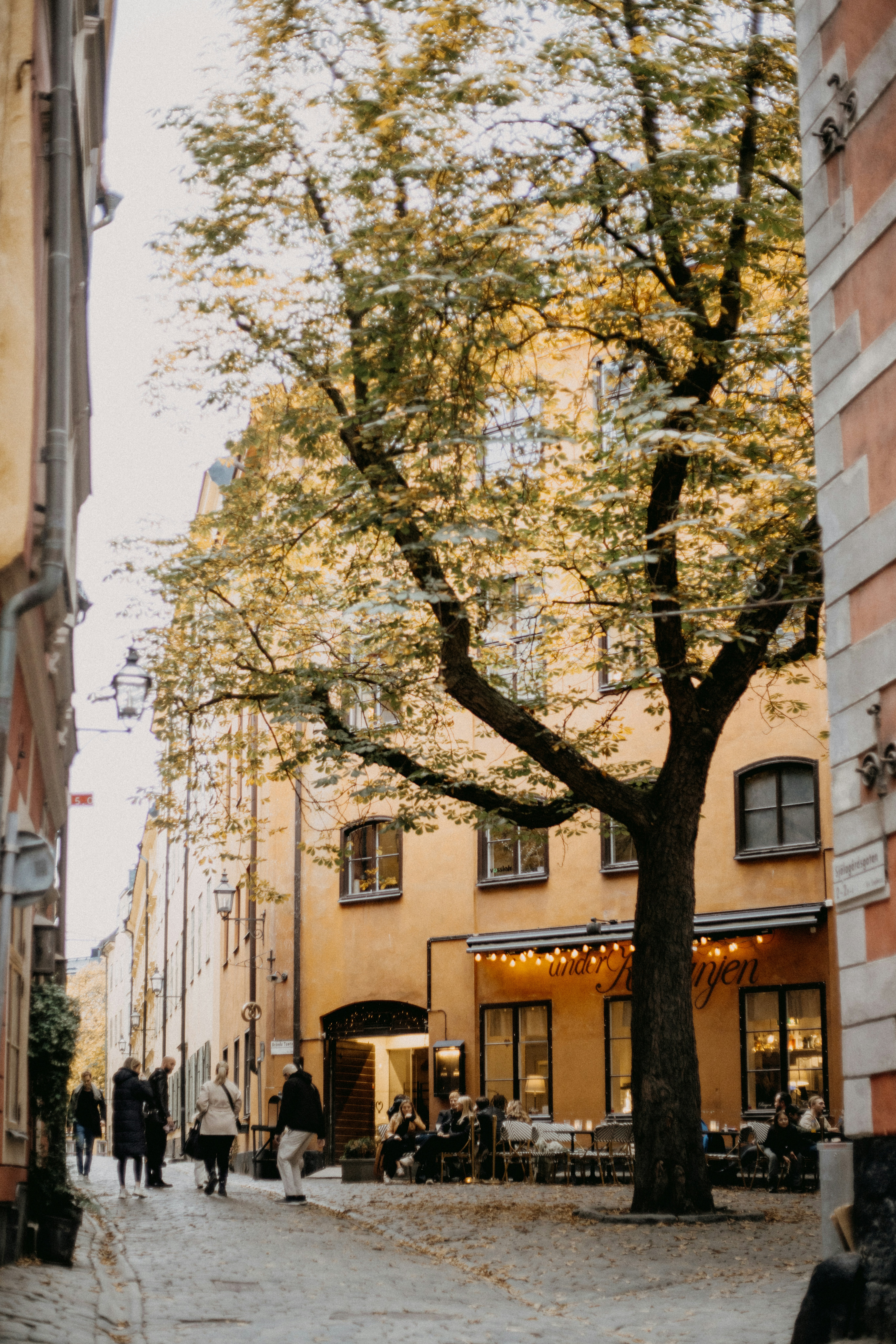 Photo by anniespratt