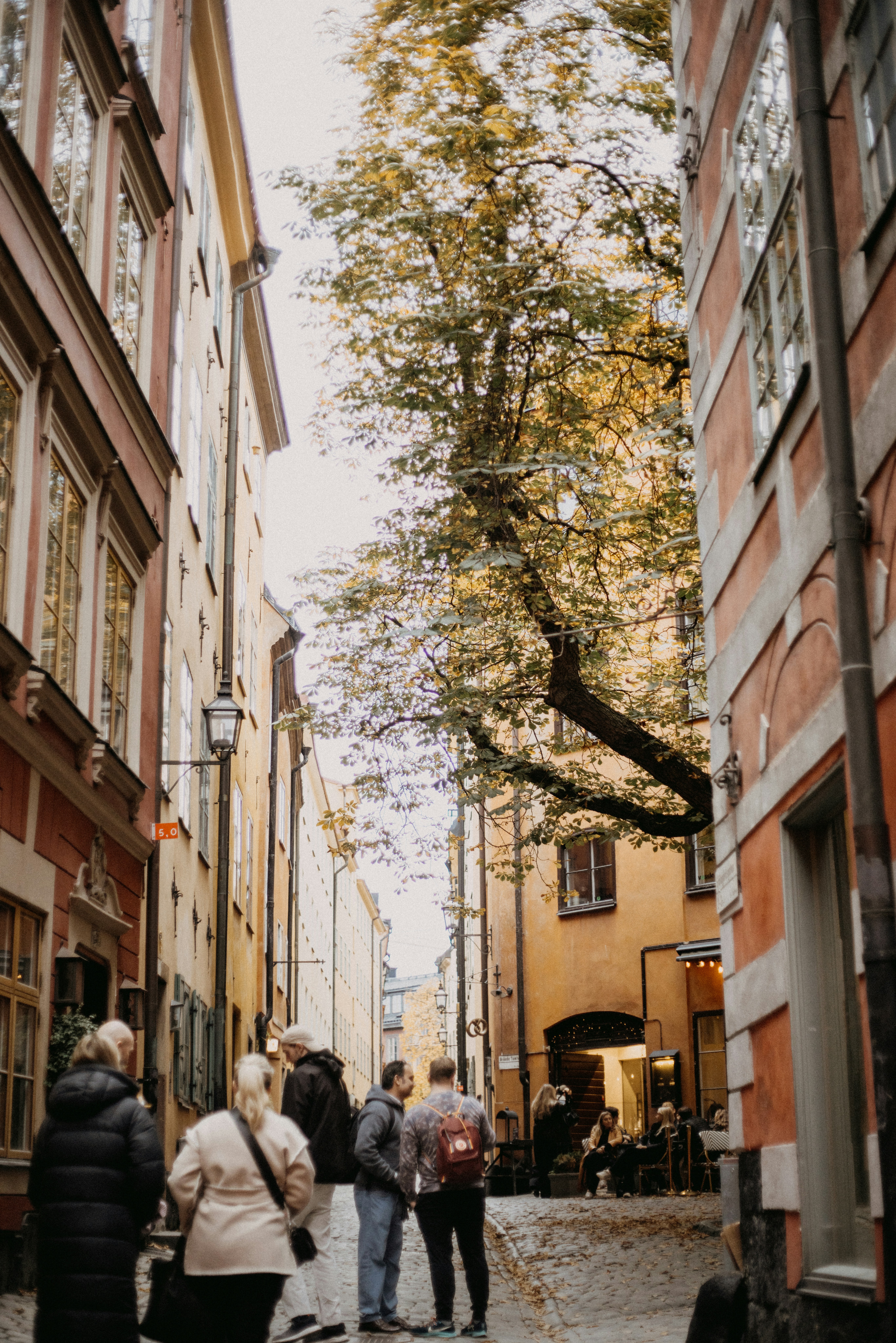 Photo by anniespratt