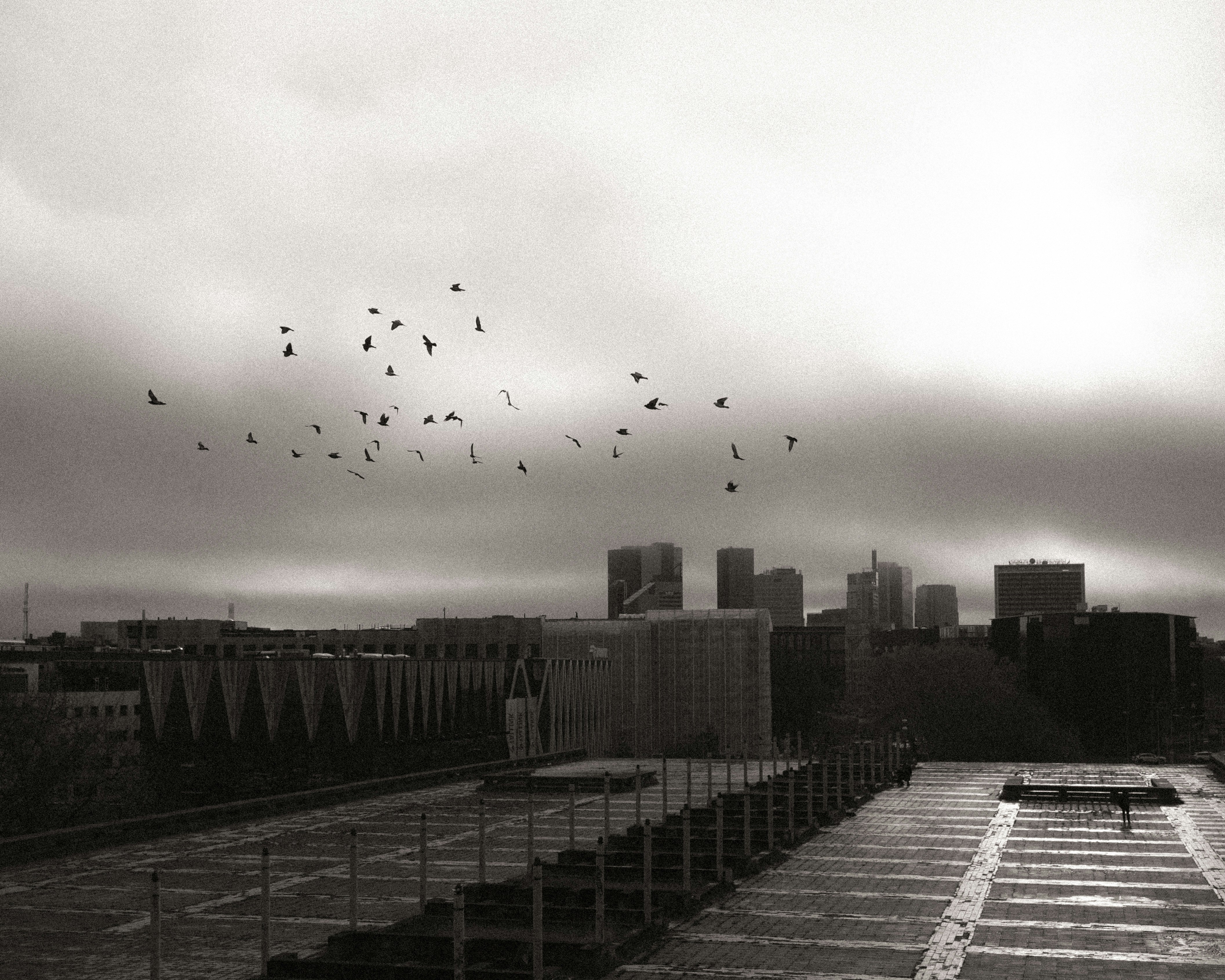 Containers in Harvest, AL