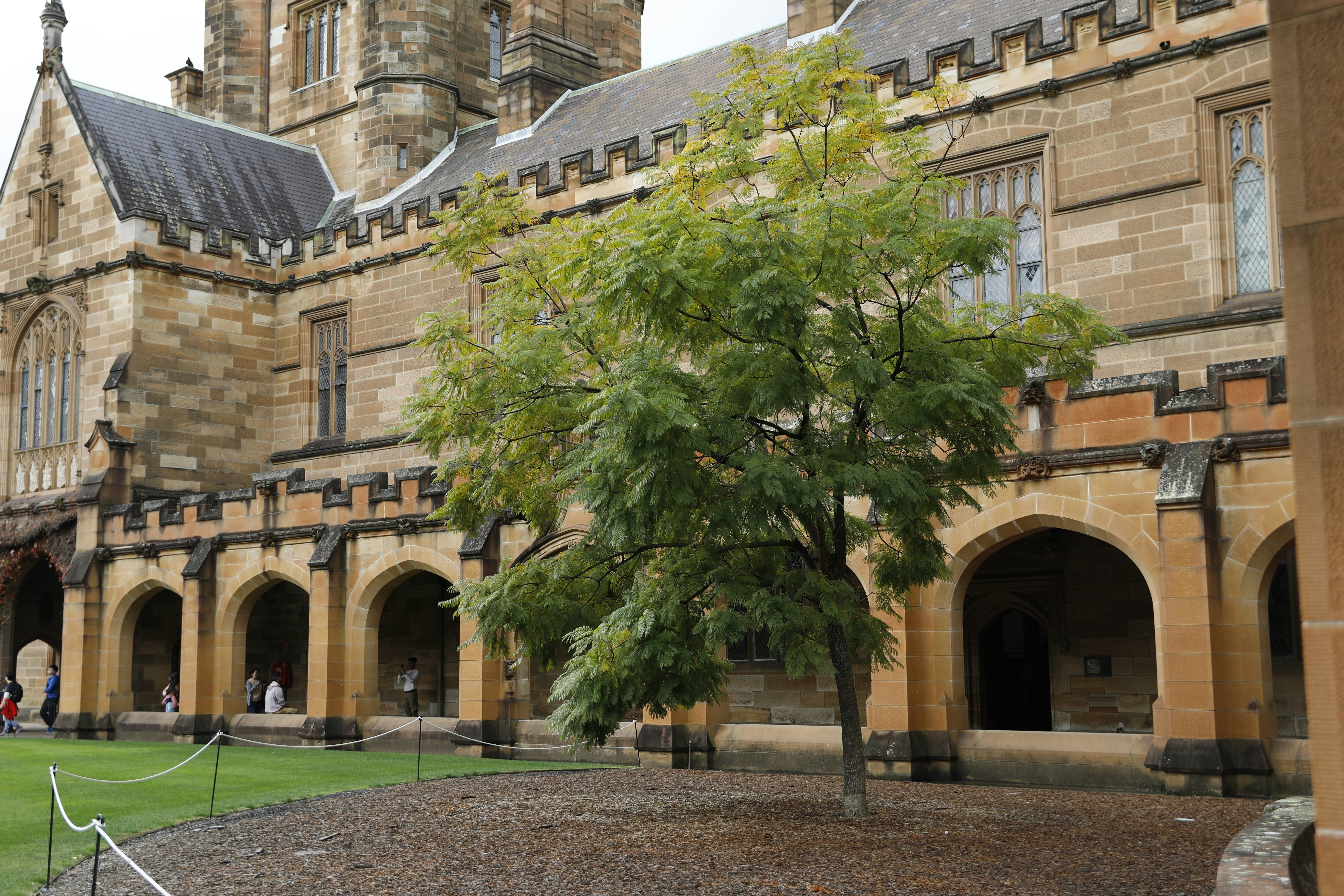 A large building with a tree in front of it