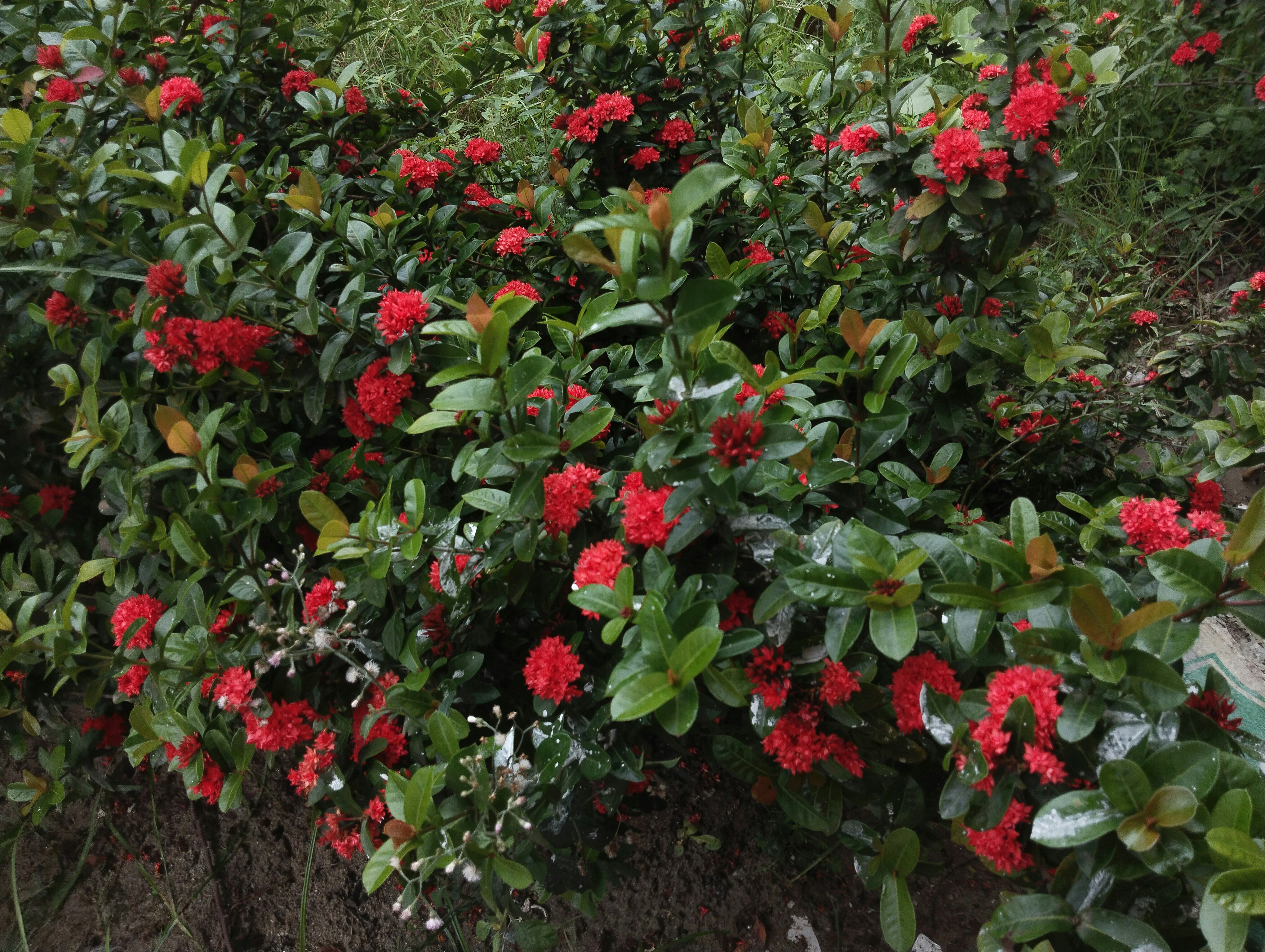 Photo by mahinishrak