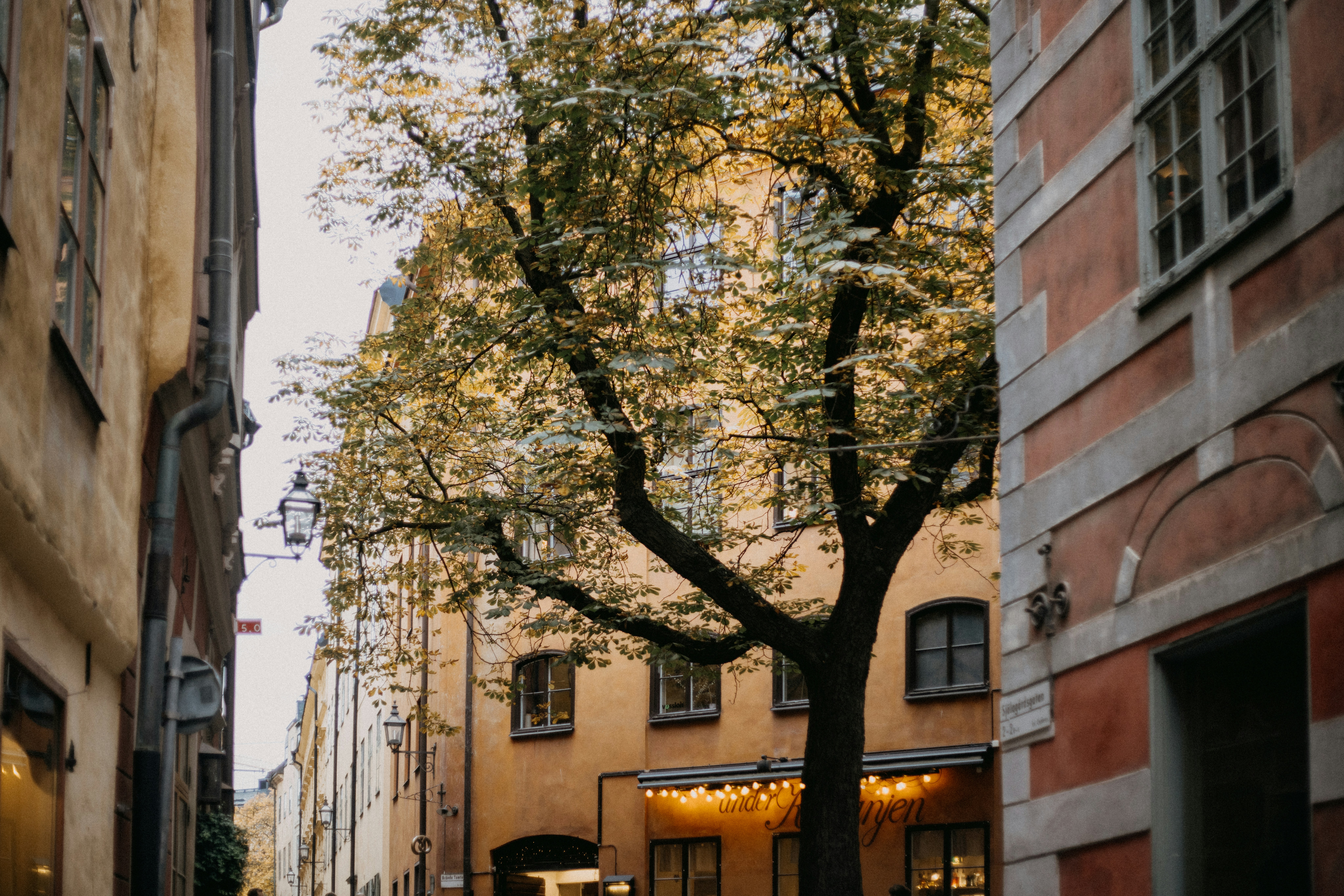 Photo by anniespratt