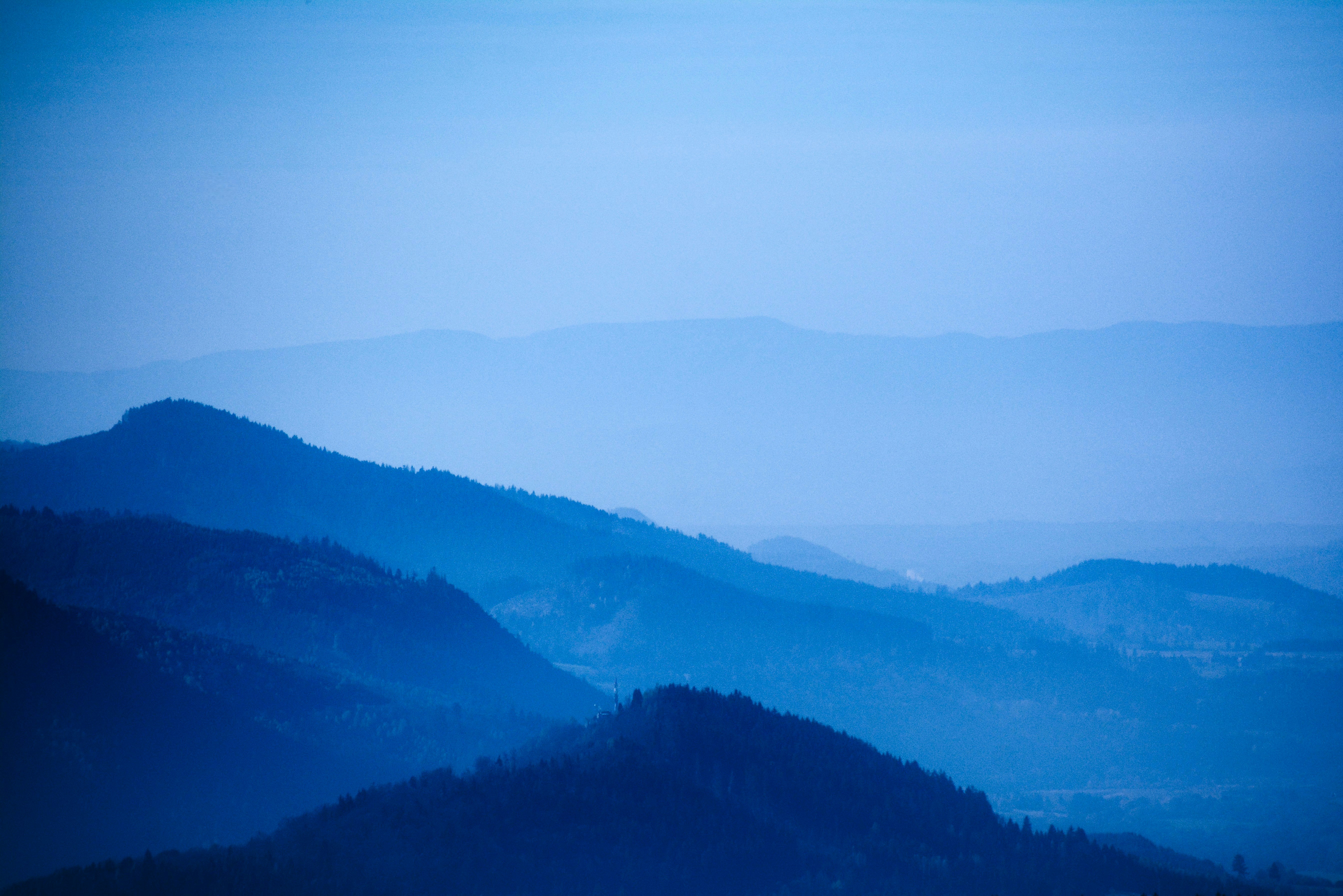 Photo by mindfulartdiction