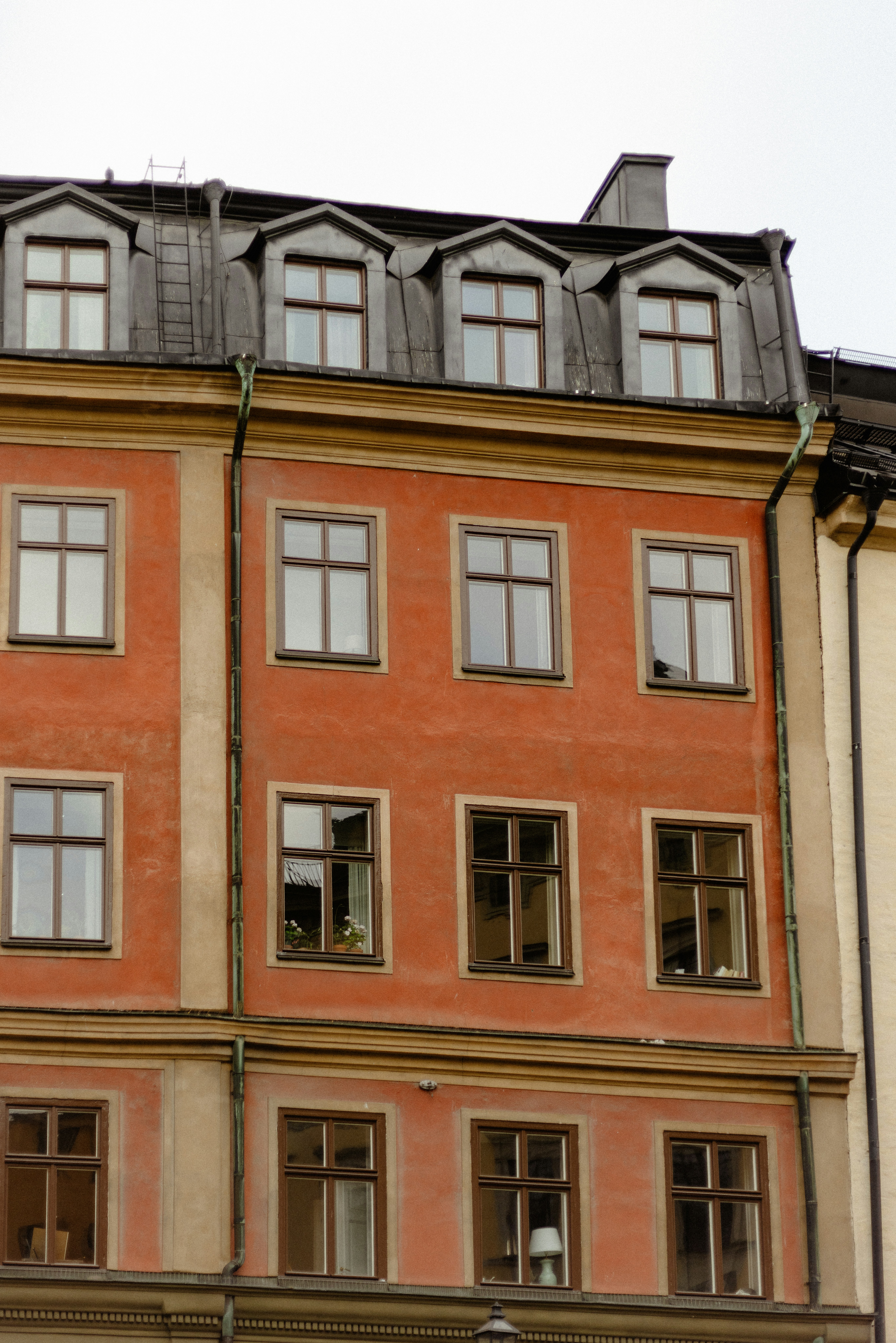 Photo by anniespratt