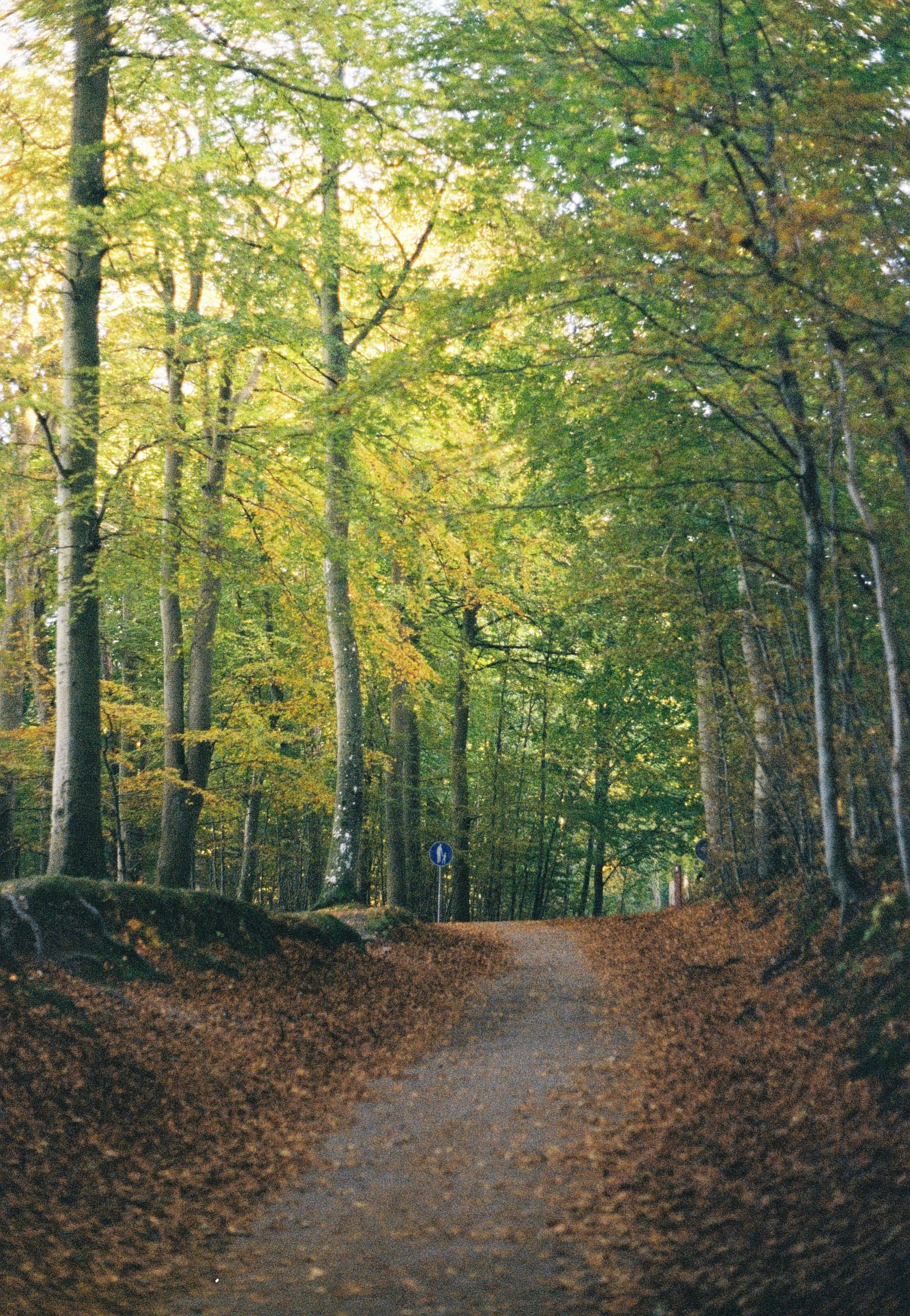 Photo by daria_kruts