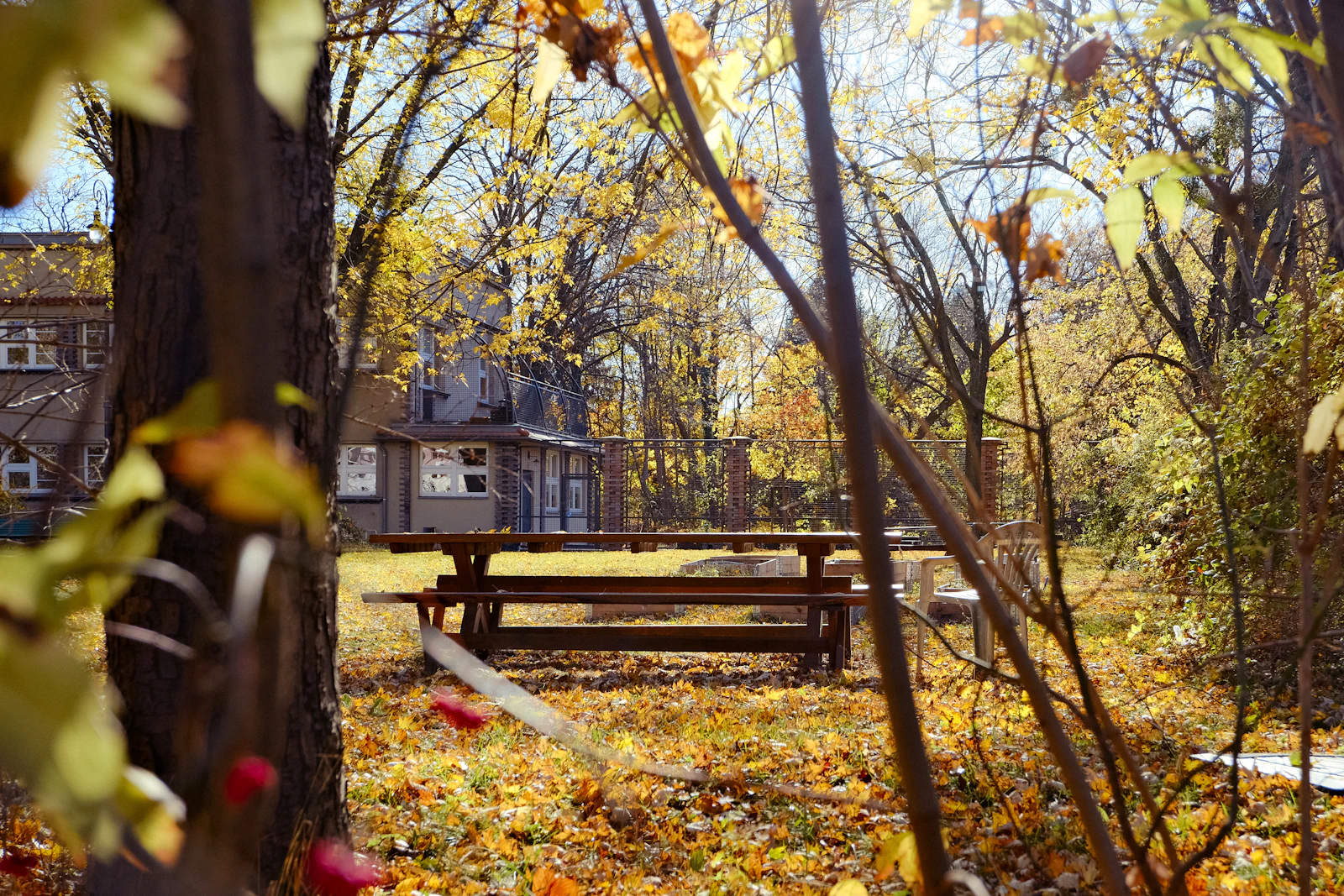 Photo · Maryna Seradzenka / Unsplash