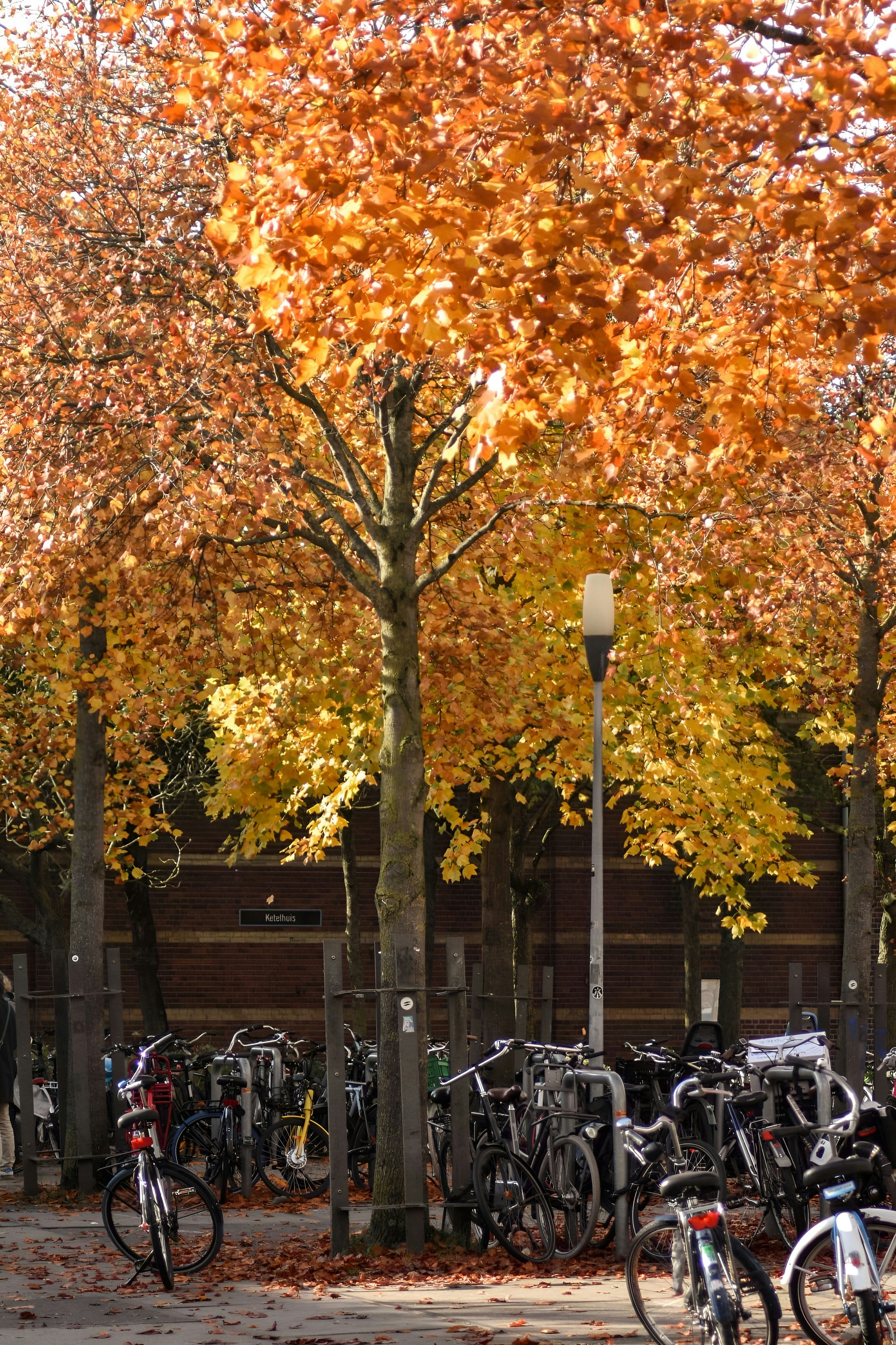 Photo by naike_rosini