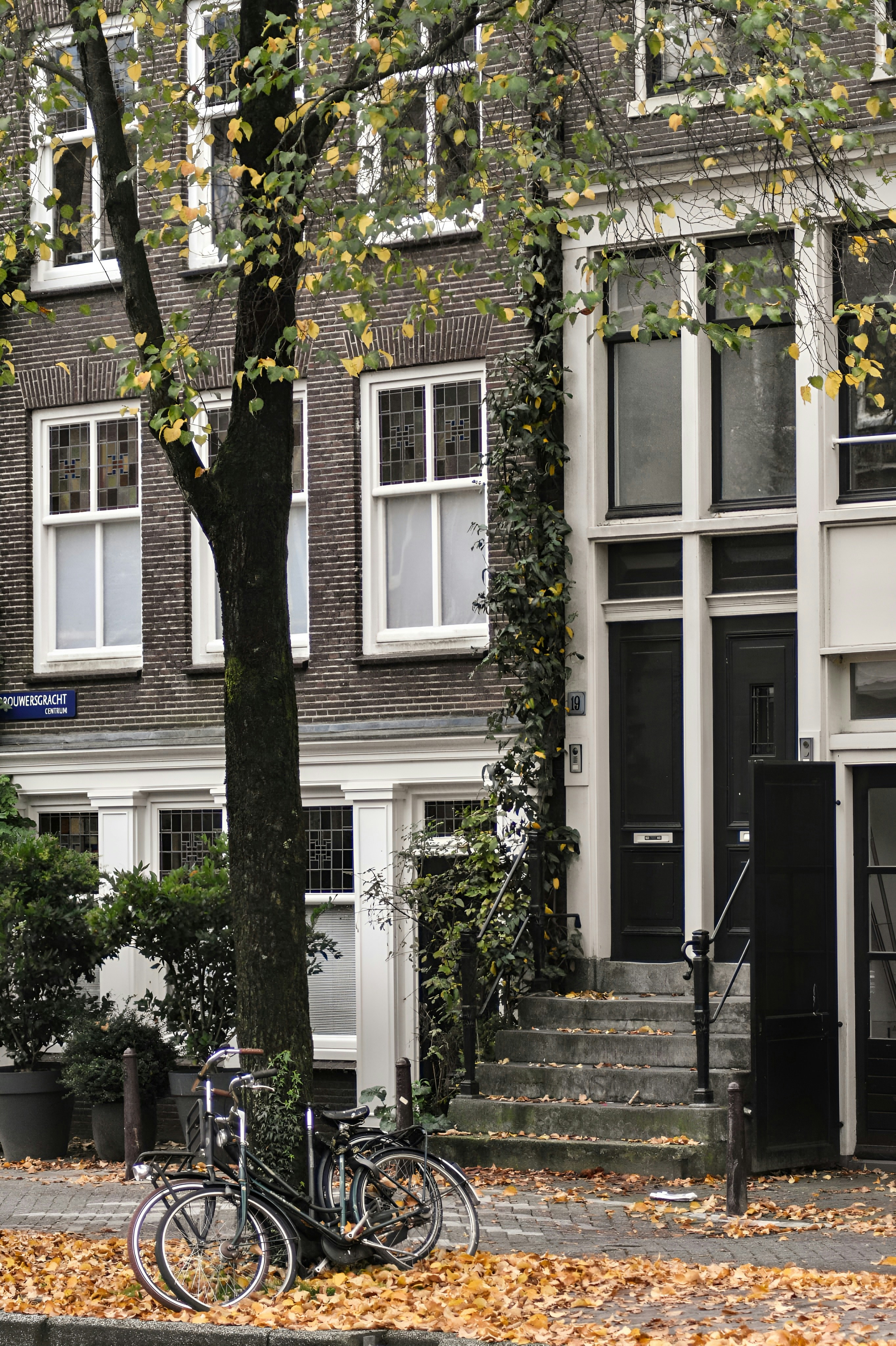 Photo by naike_rosini