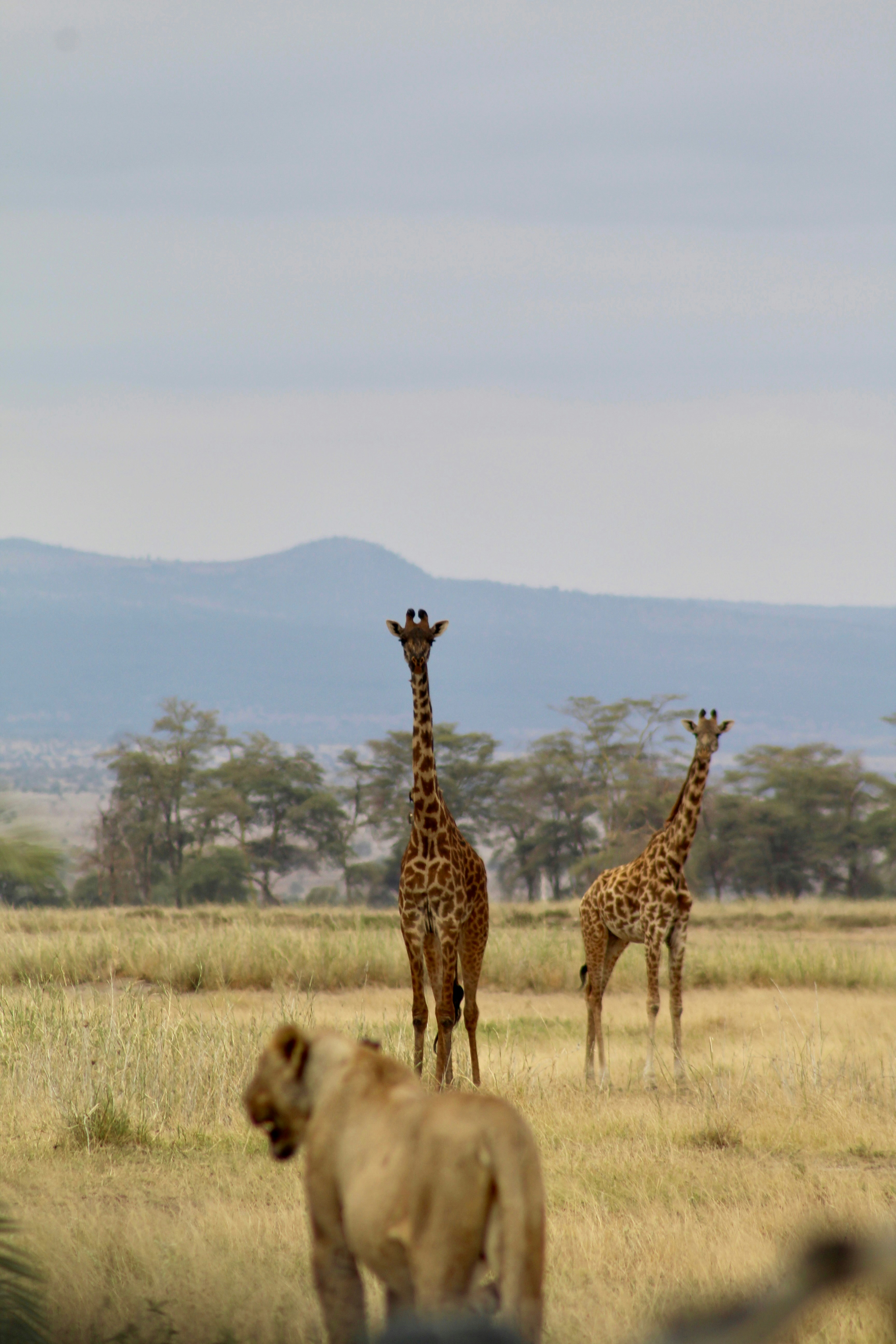 Photo by gwendolynnn