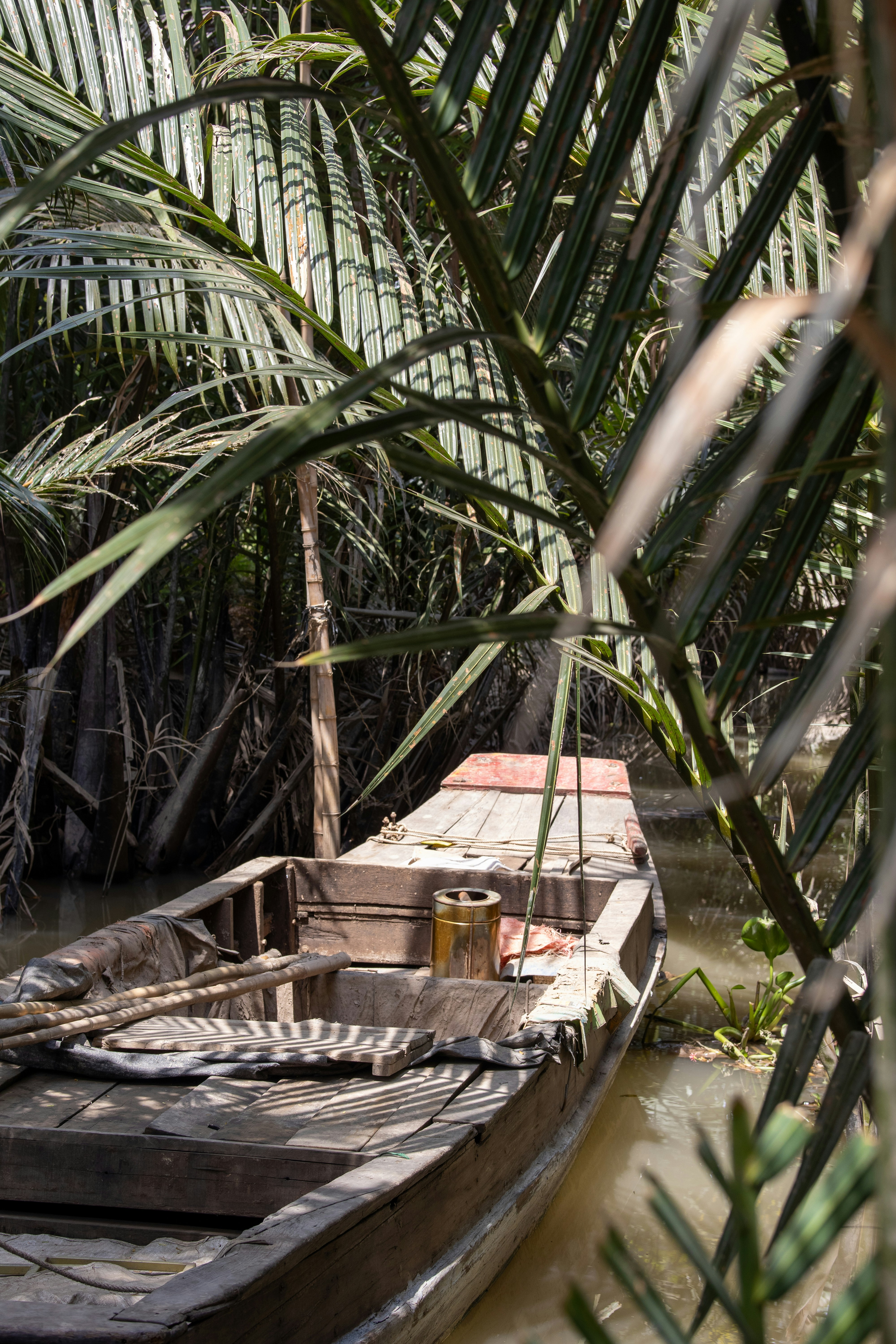 Photo by jacekjaniczak