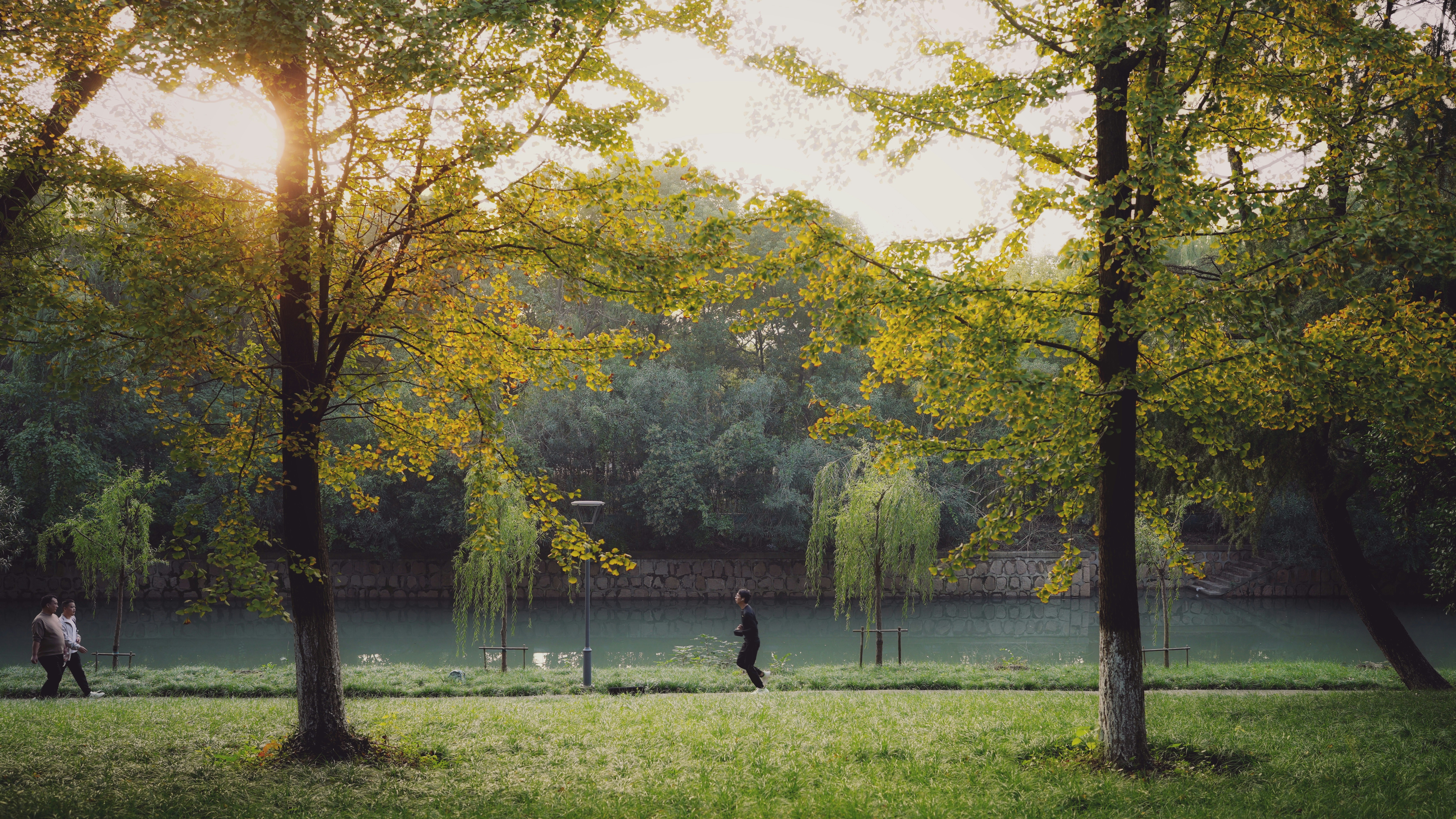 Photo by rebylulu