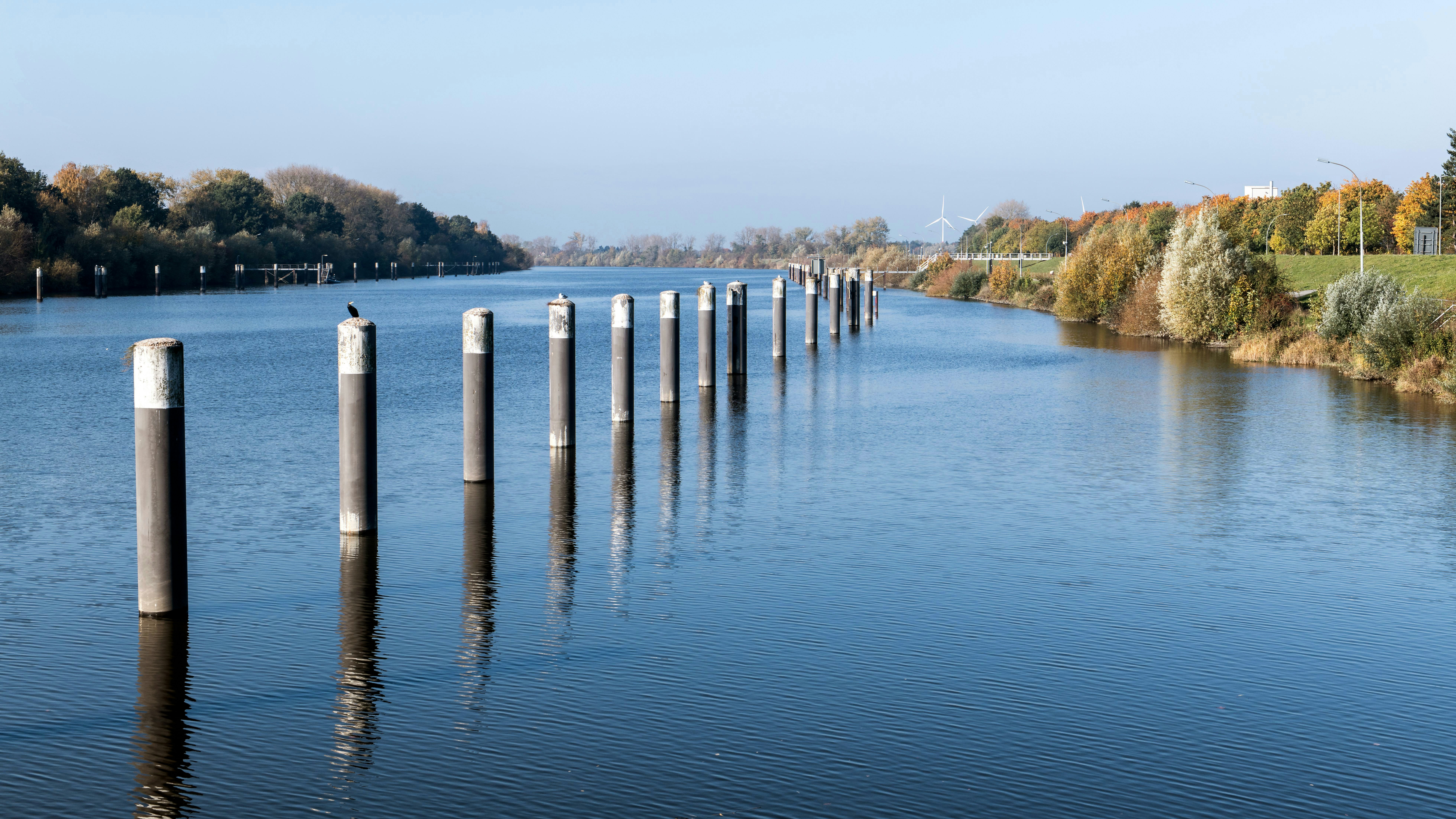 Photo by hamburgmeinefreundin