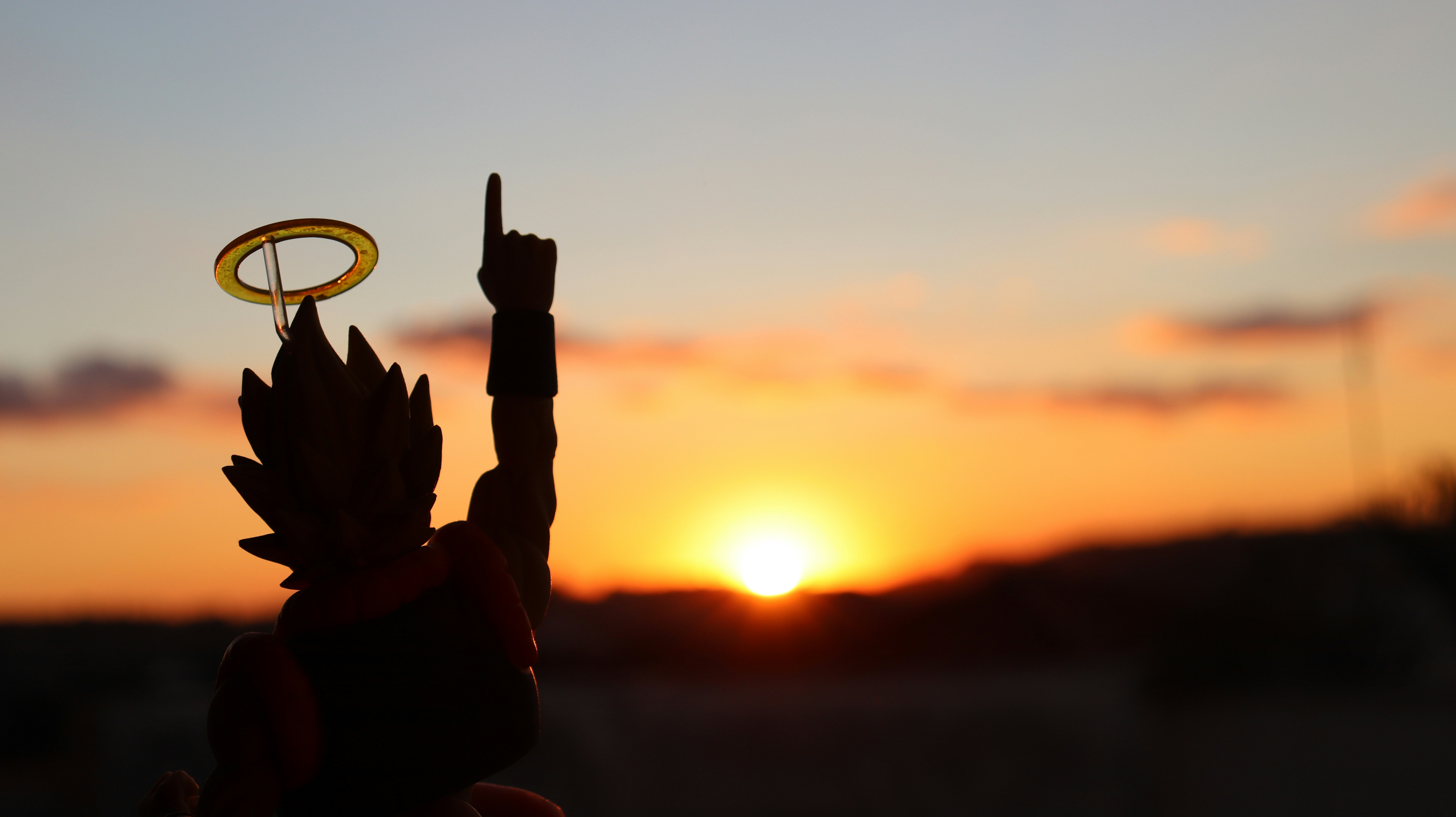 Akira Toriyama (1955 - 2024)