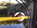 A boat floating on top of a lake next to a forest