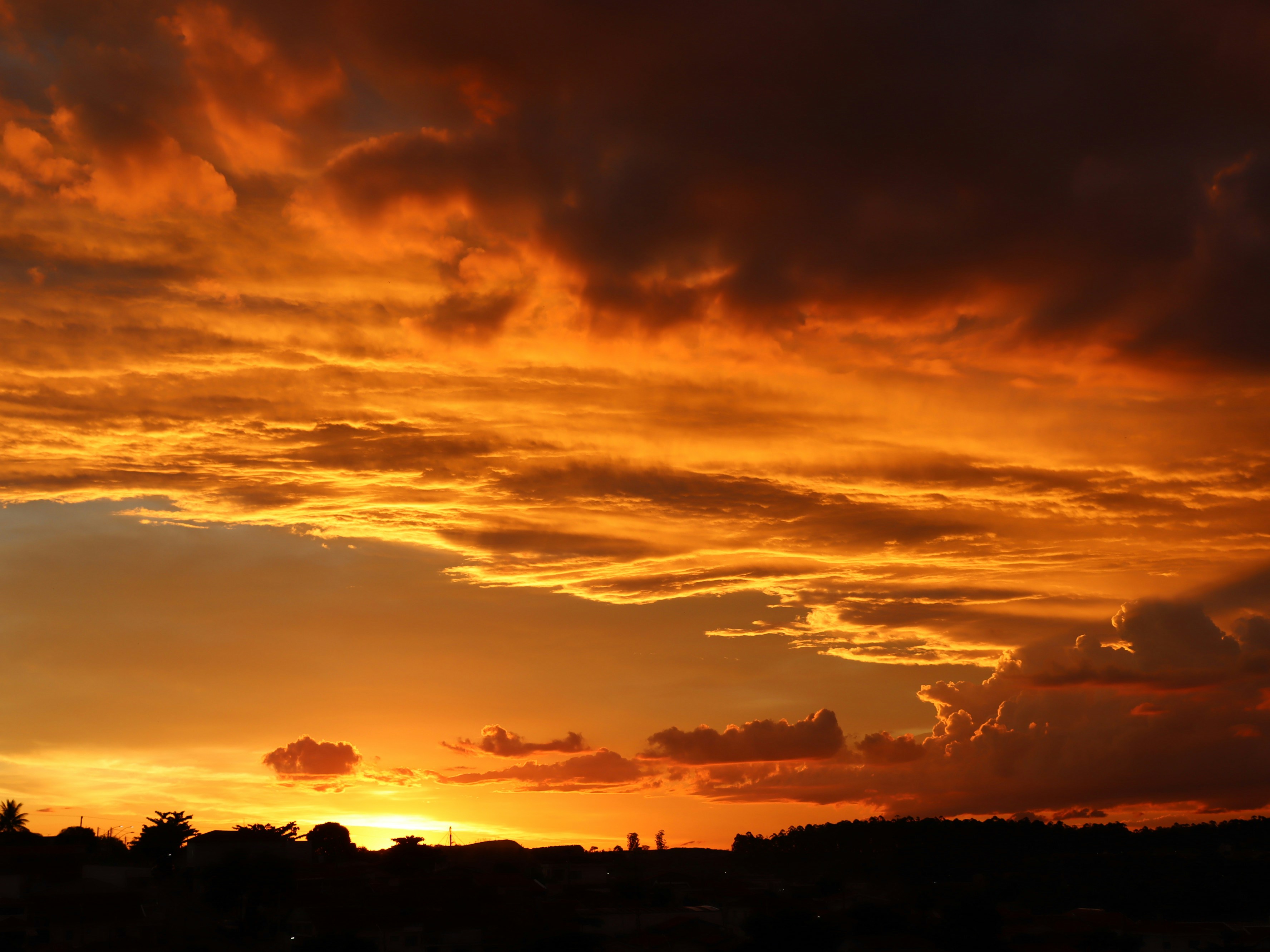 Photo by caio_delarolle