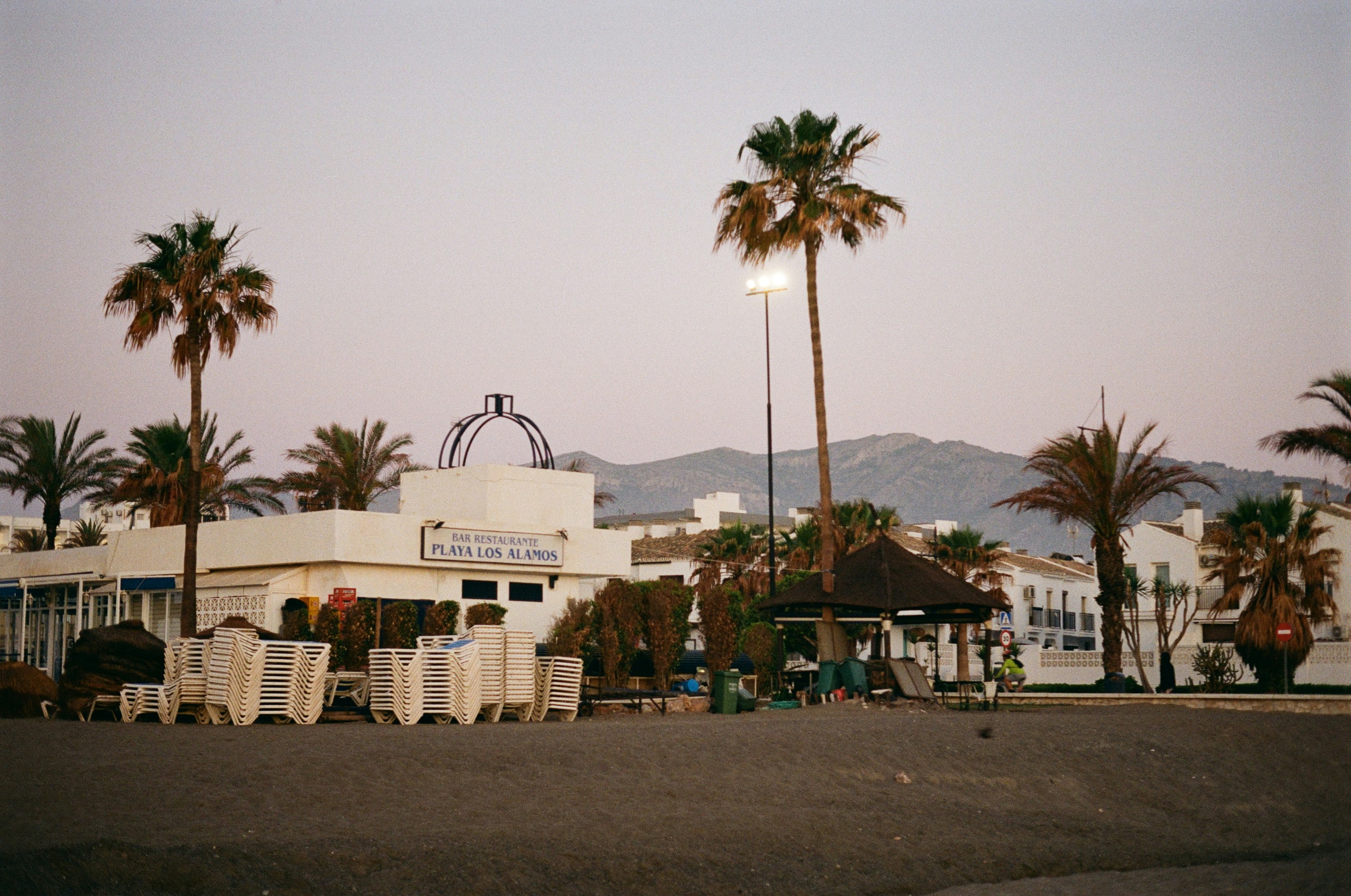 A parking lot filled with lots of palm trees
