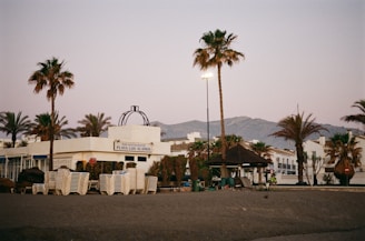 A parking lot filled with lots of palm trees
