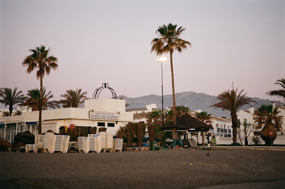 A parking lot filled with lots of palm trees