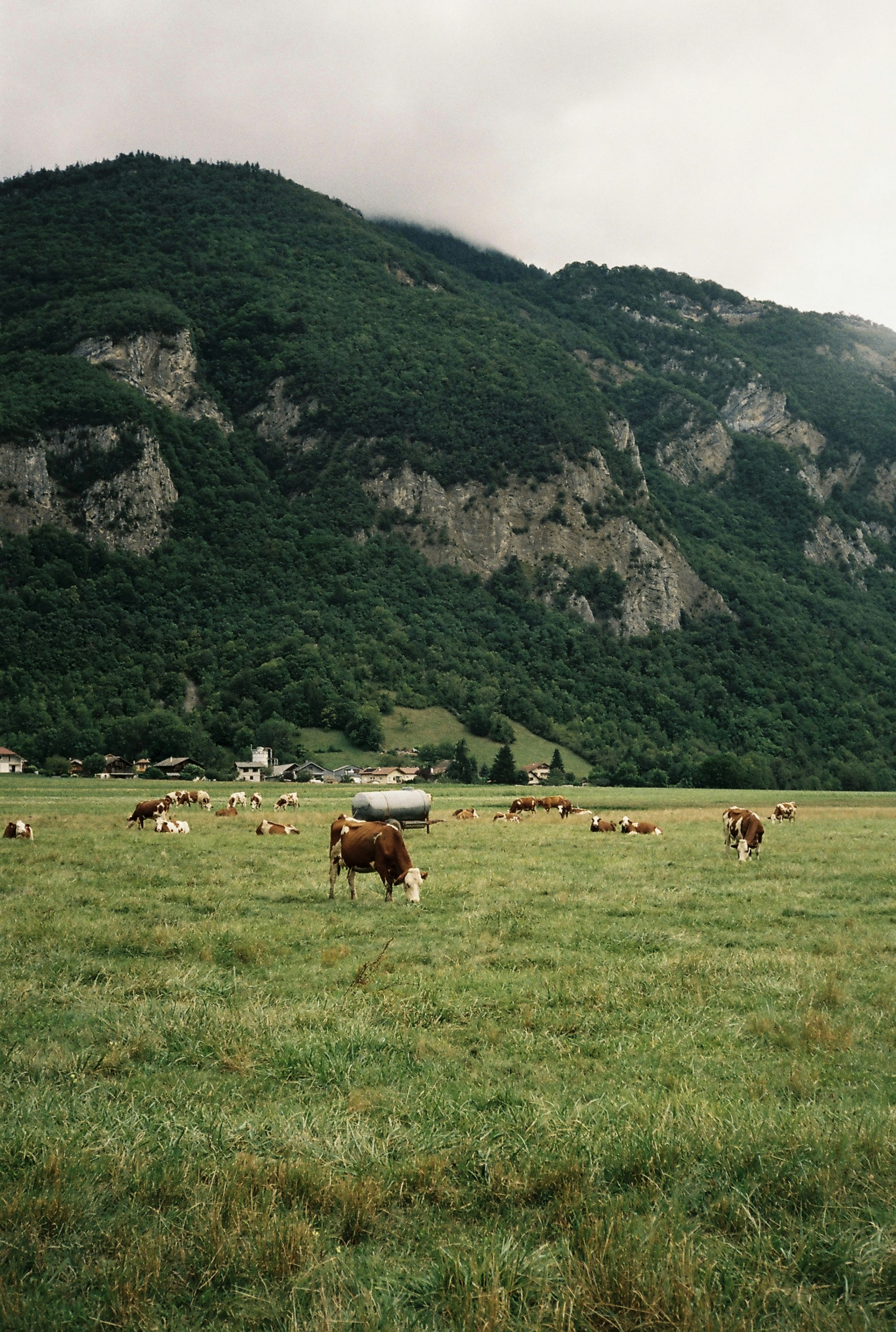 Photo by ameliefaurent