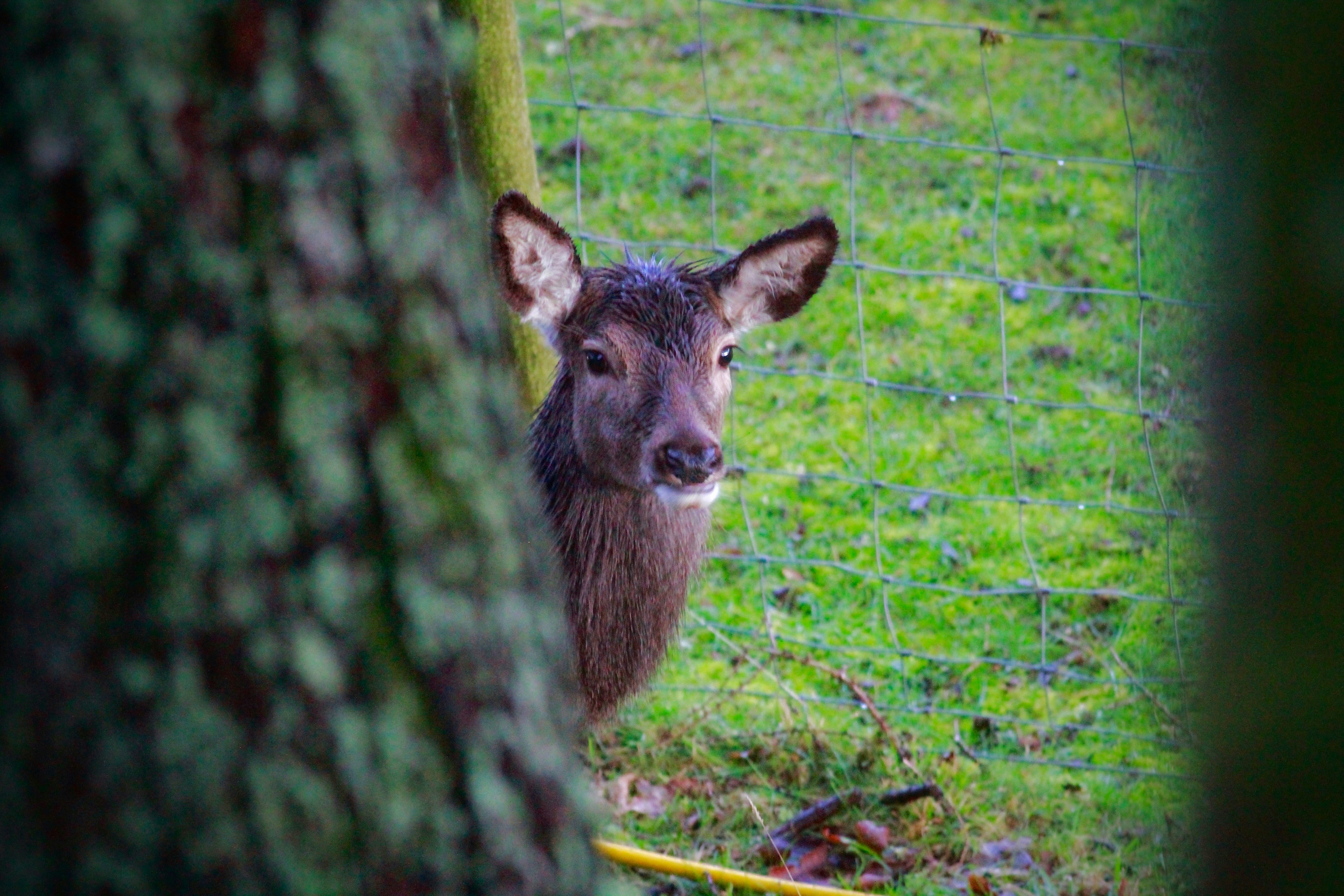 Photo by thomaswilson