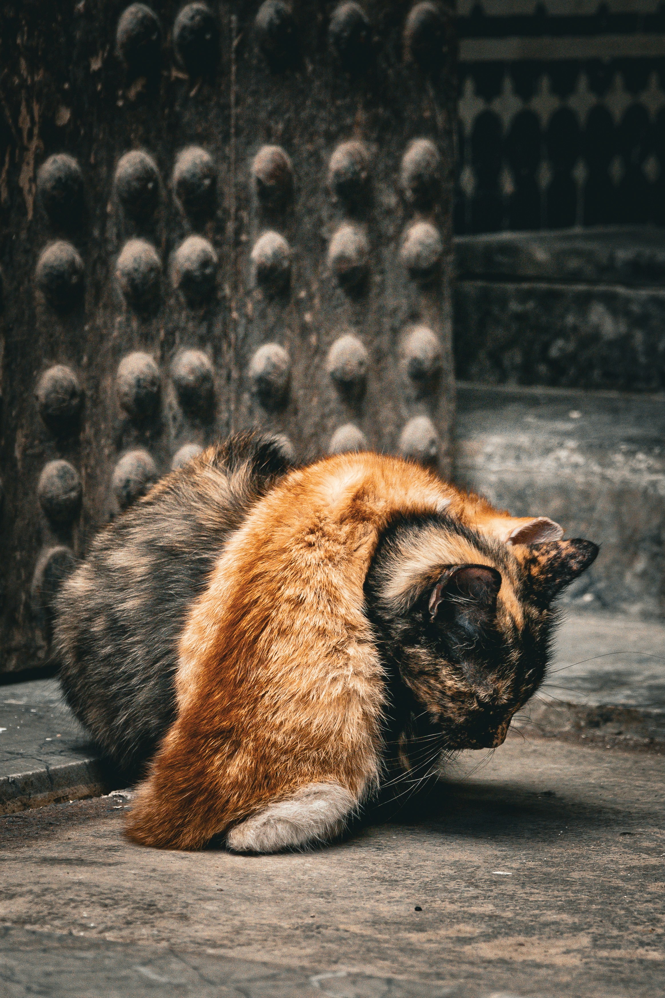 Photo by miguelalcantara