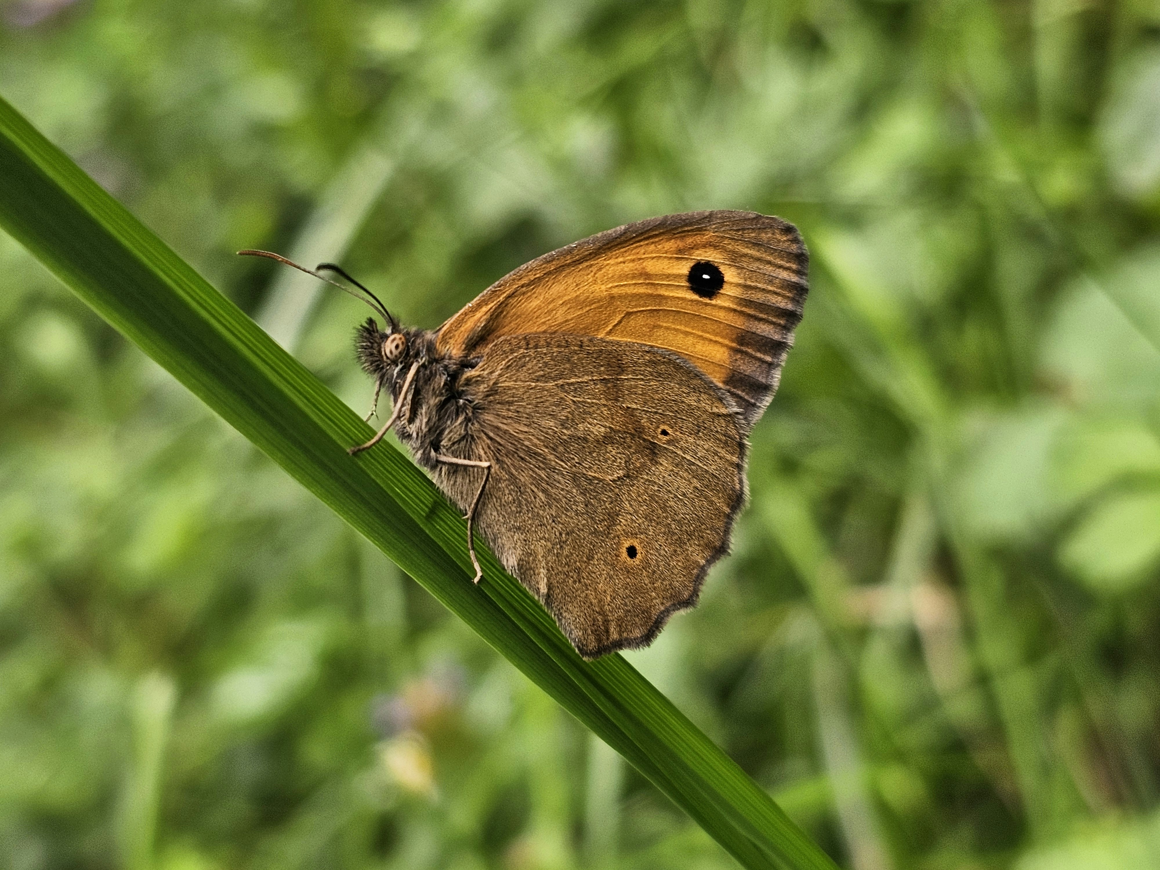 Photo by find_something_pretty_everyday