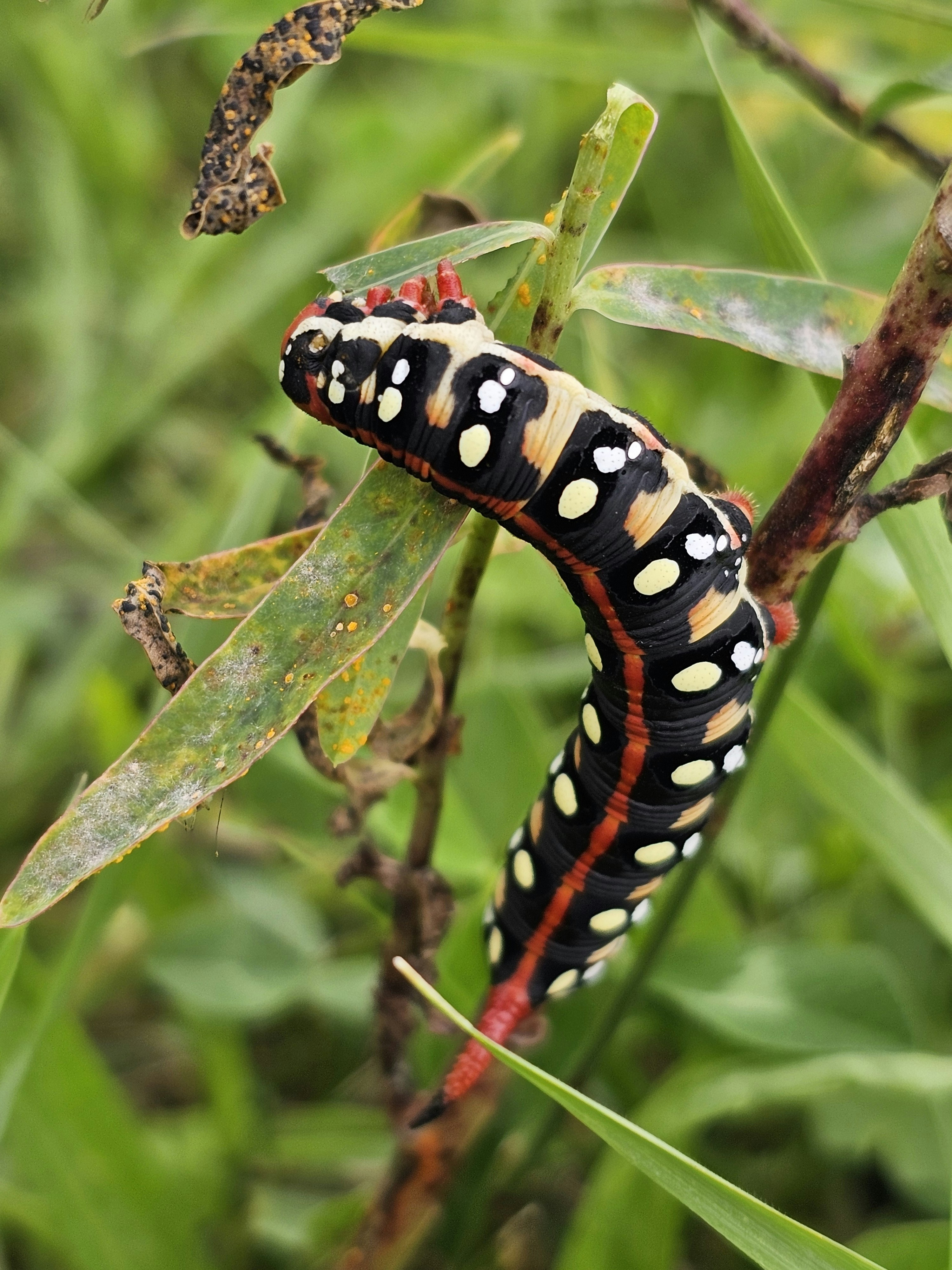 Photo by find_something_pretty_everyday