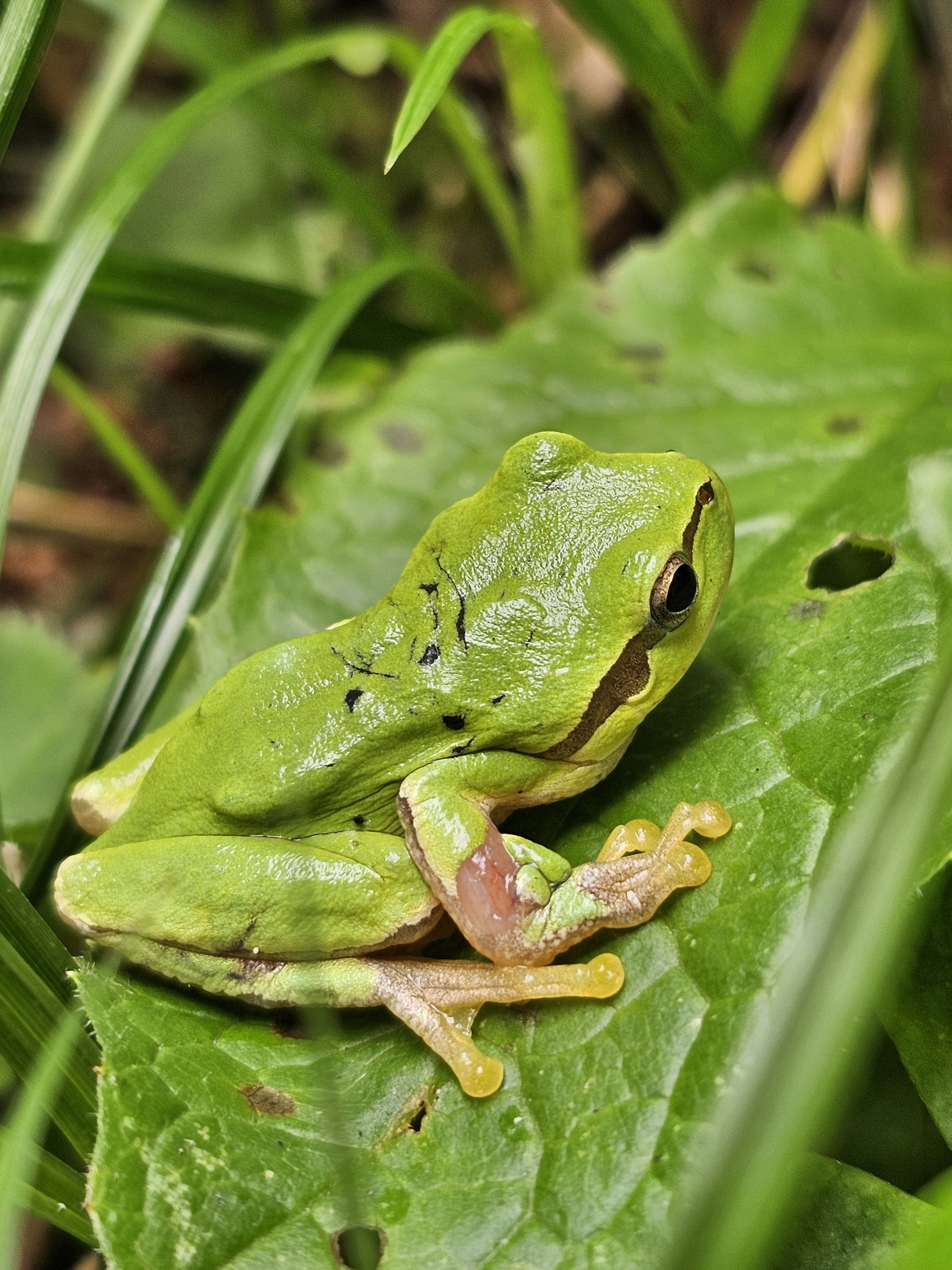 Photo by find_something_pretty_everyday