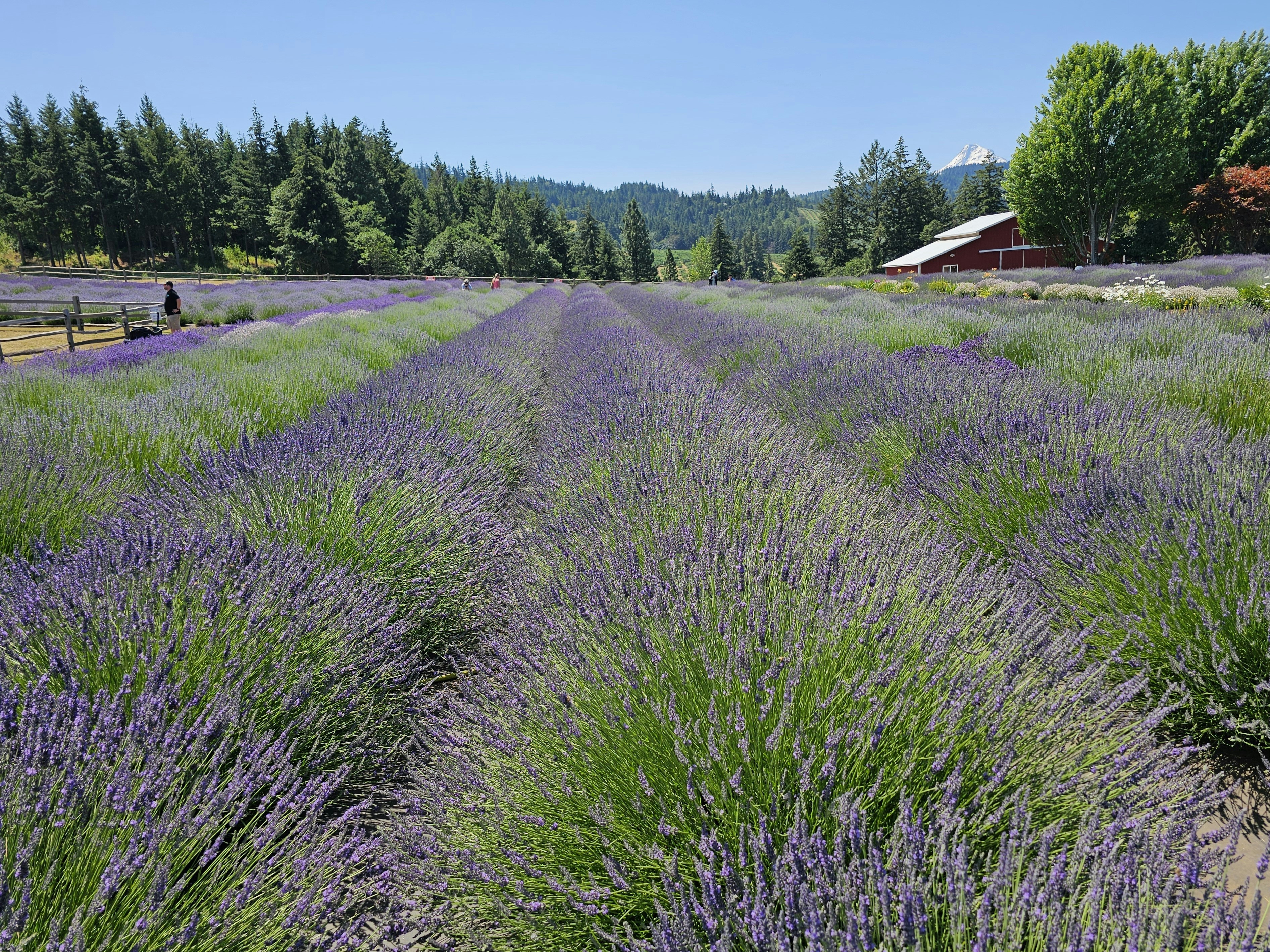 Photo by find_something_pretty_everyday