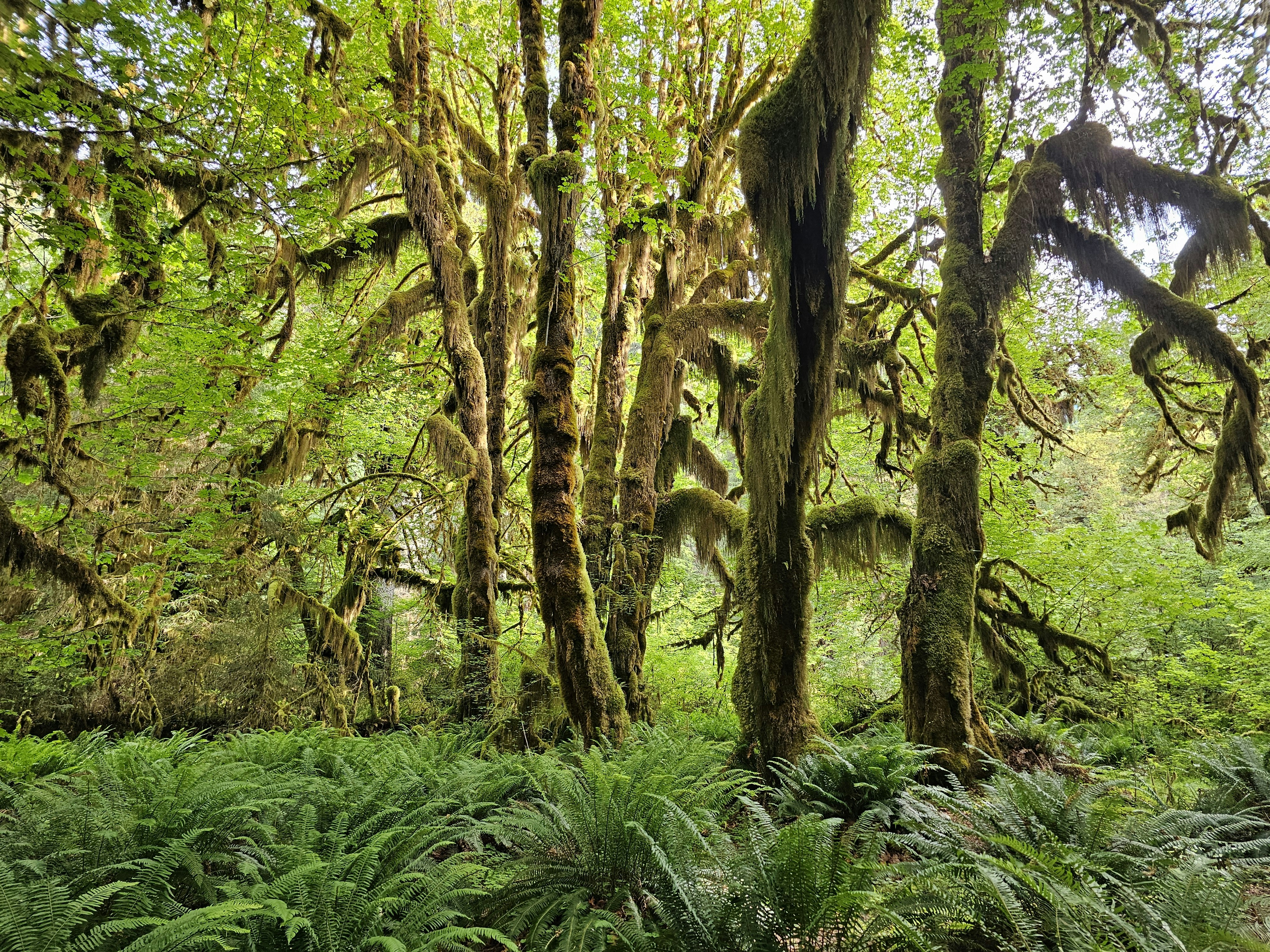 Photo by find_something_pretty_everyday