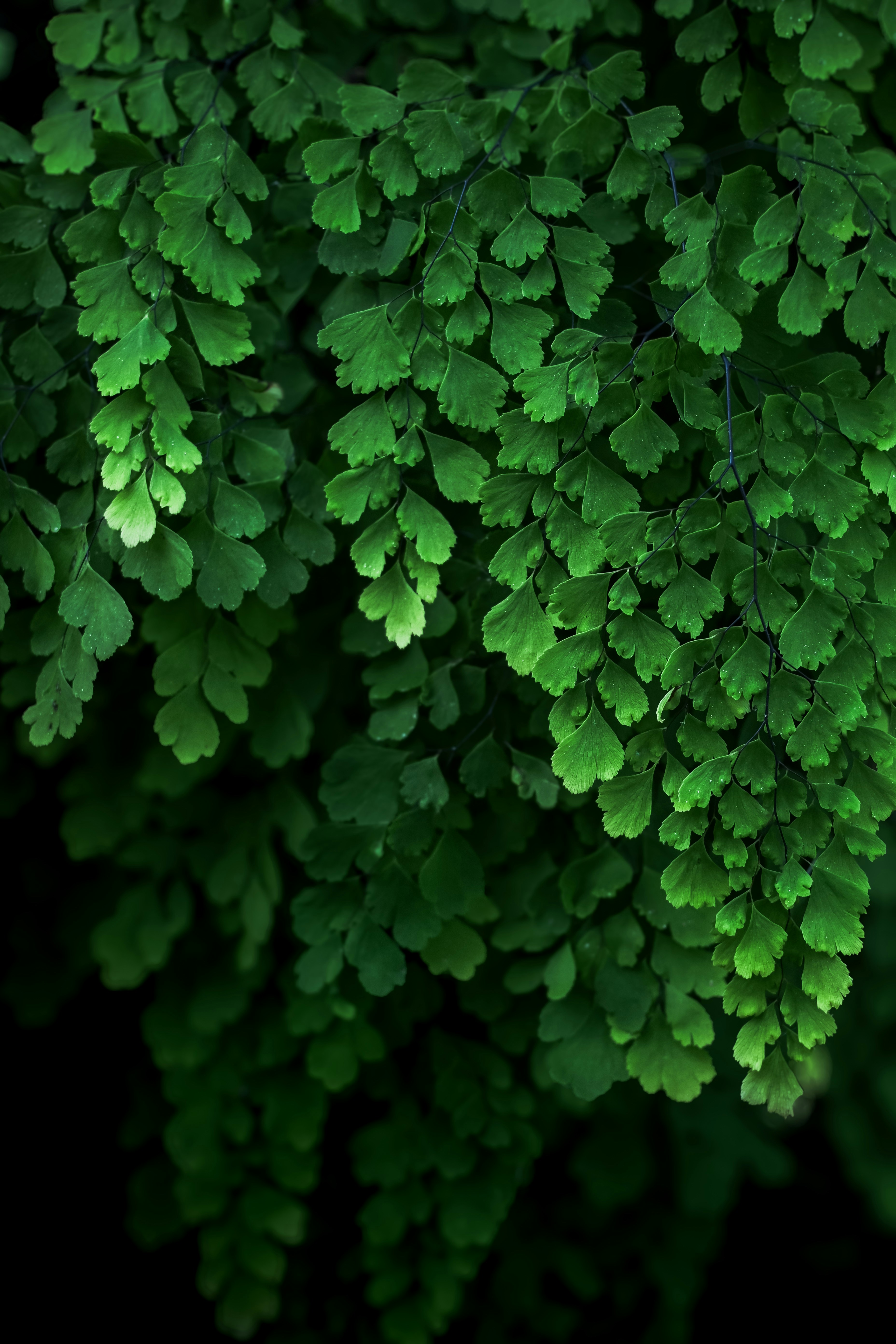 Photo by ujjwalchettri