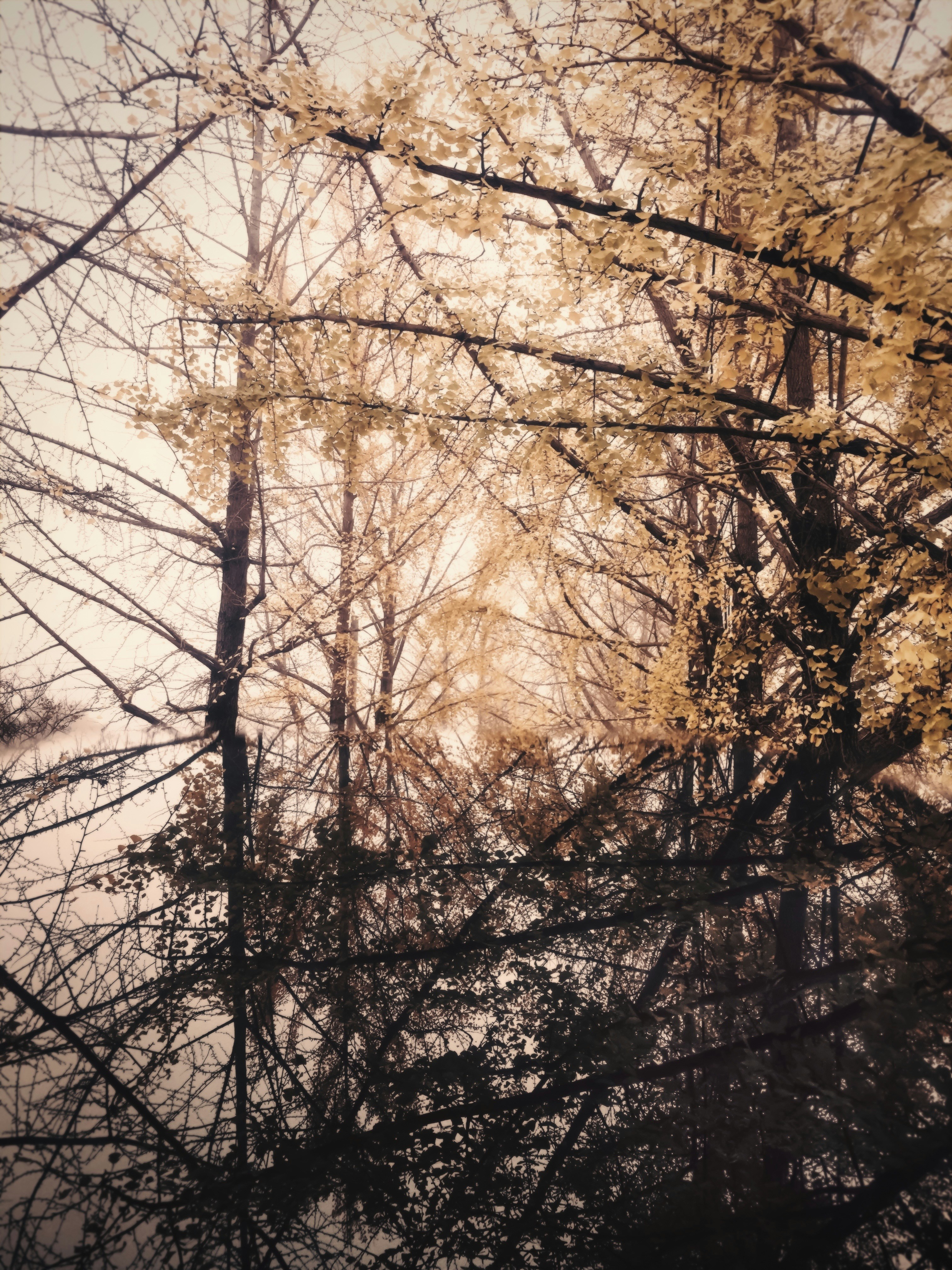 Photo by unidentifieduser