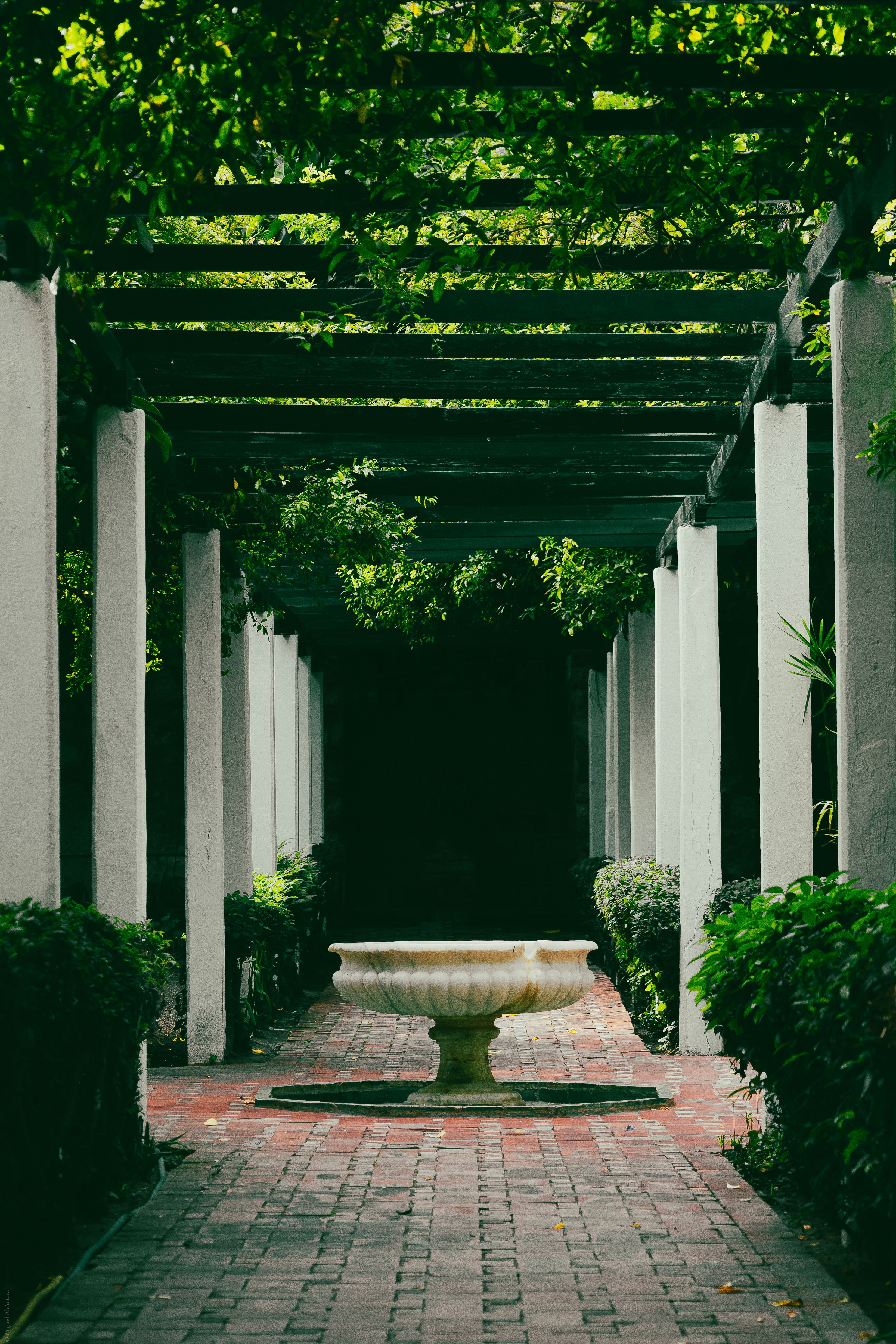 Photo by miguelalcantara