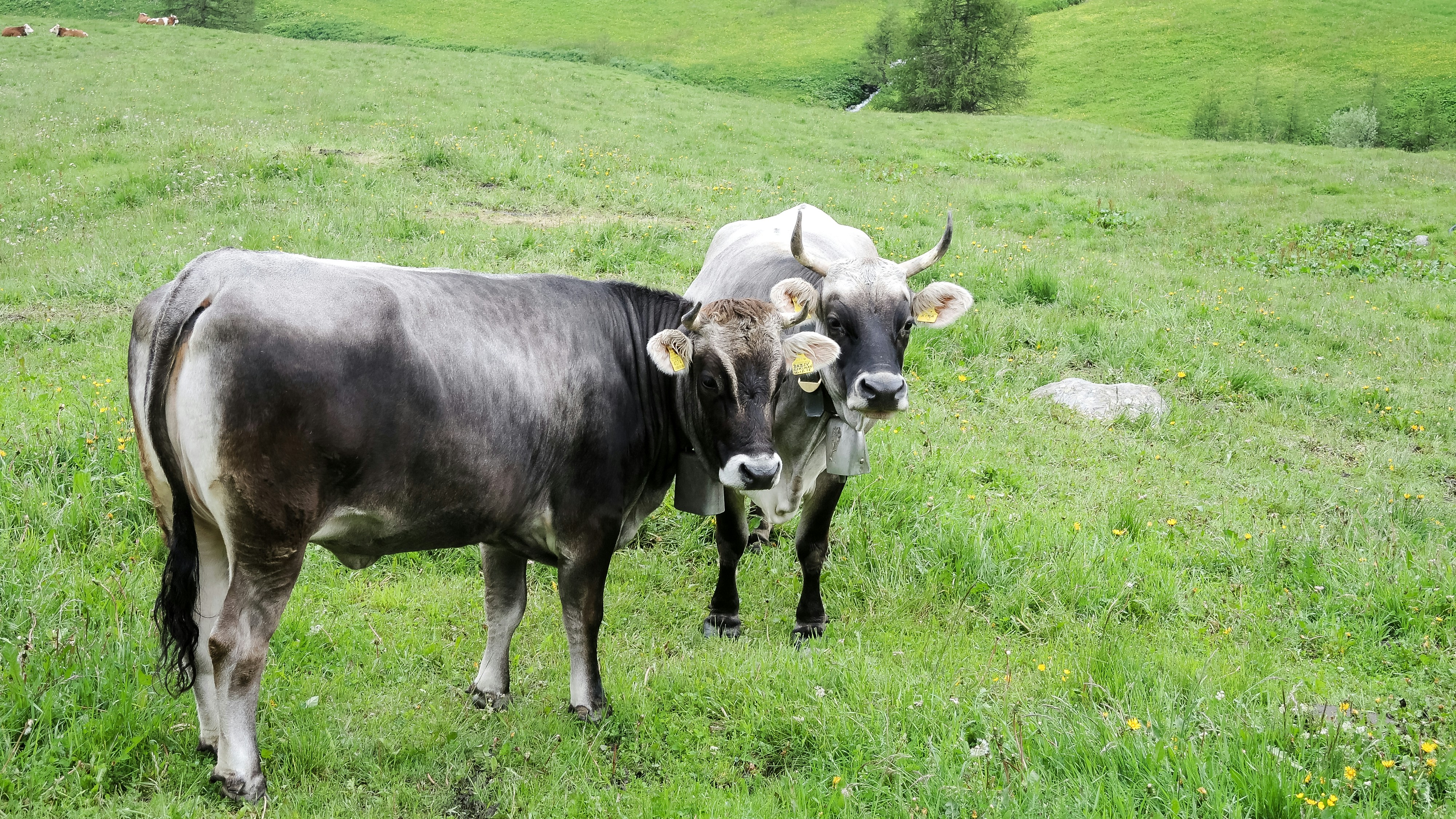 Photo by hamburgmeinefreundin