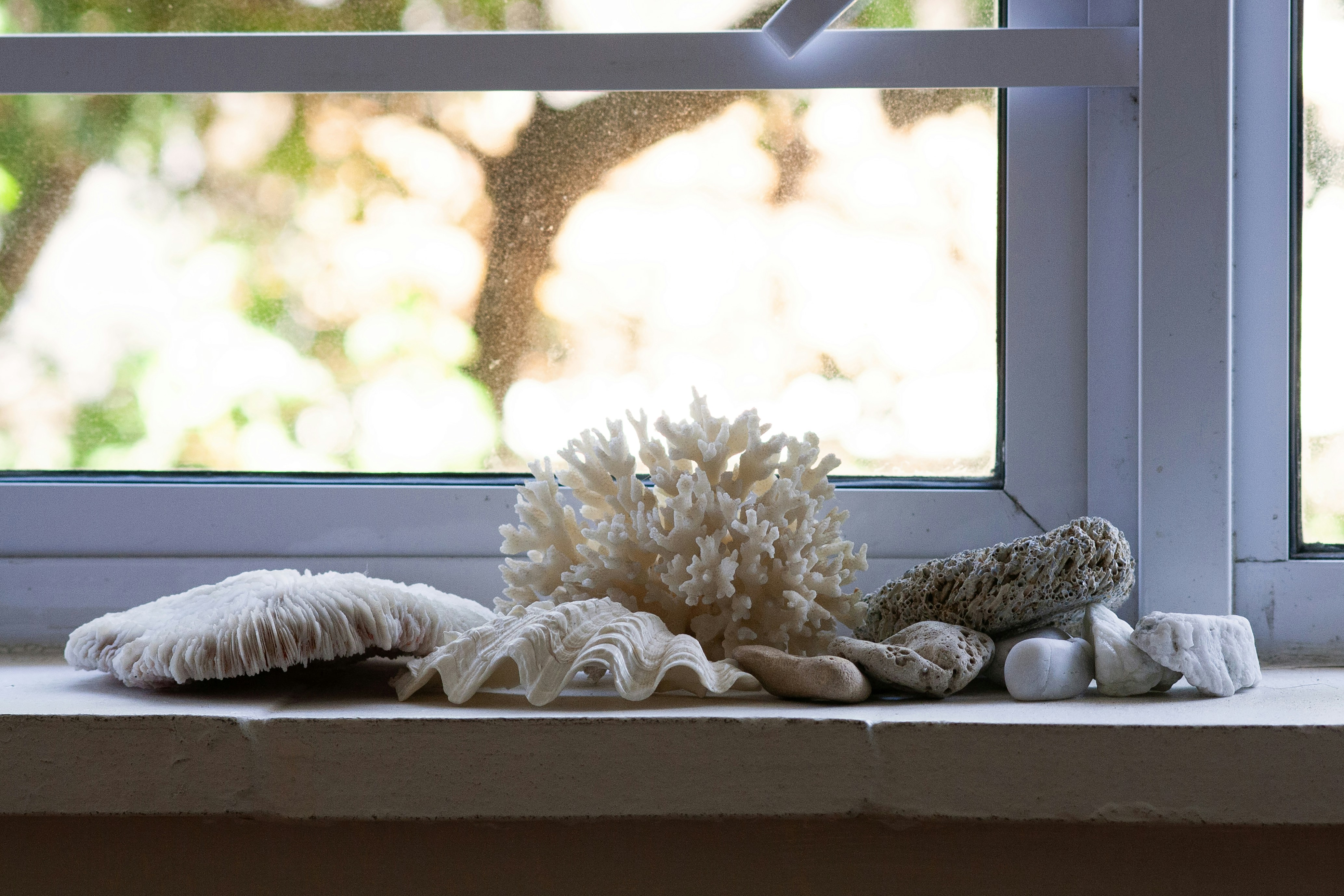 Photo by amy_harrison