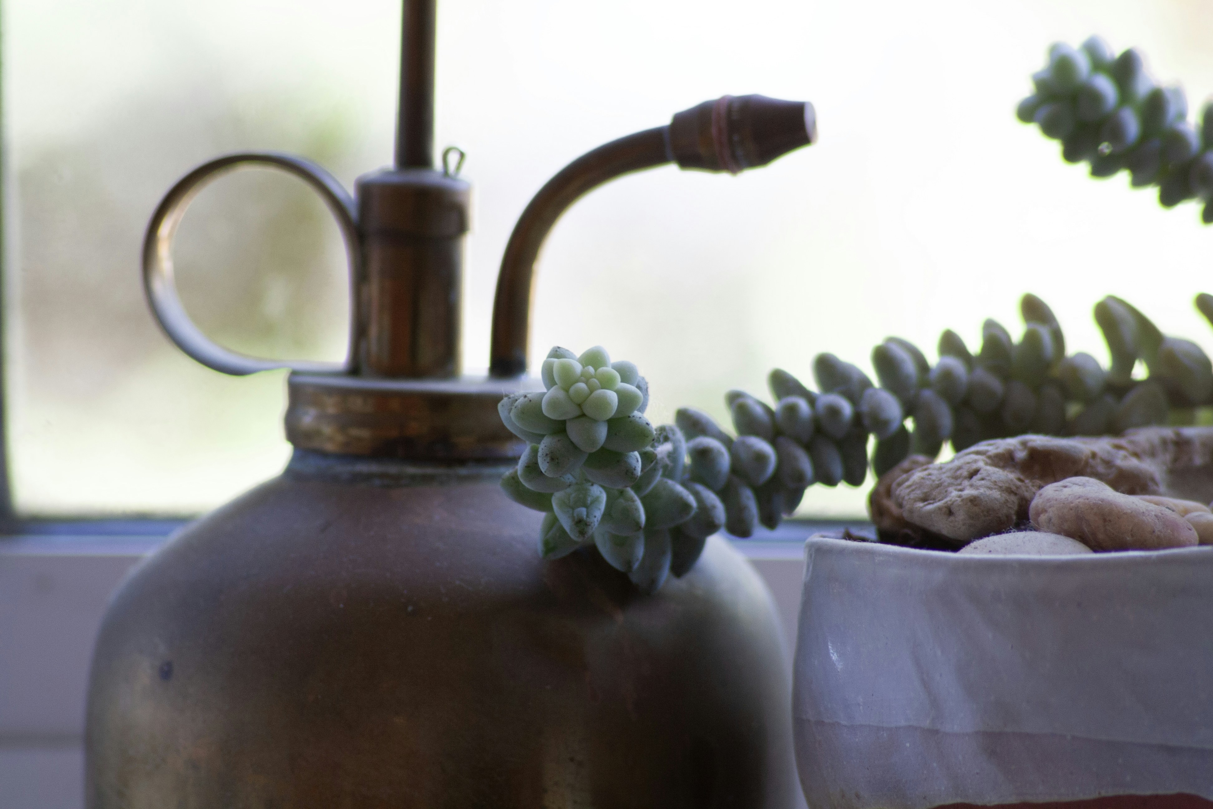 Photo by amy_harrison