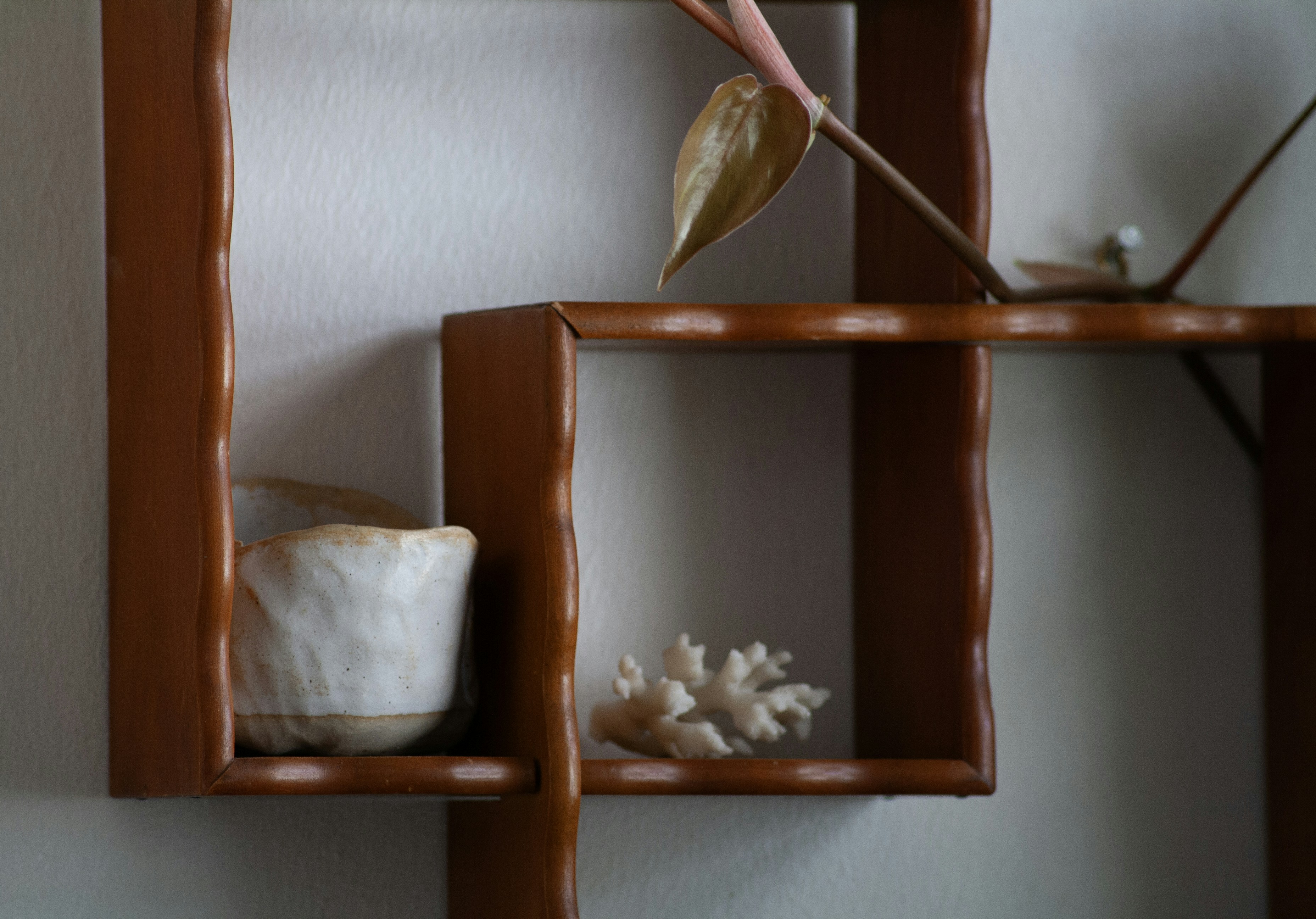 Photo by amy_harrison