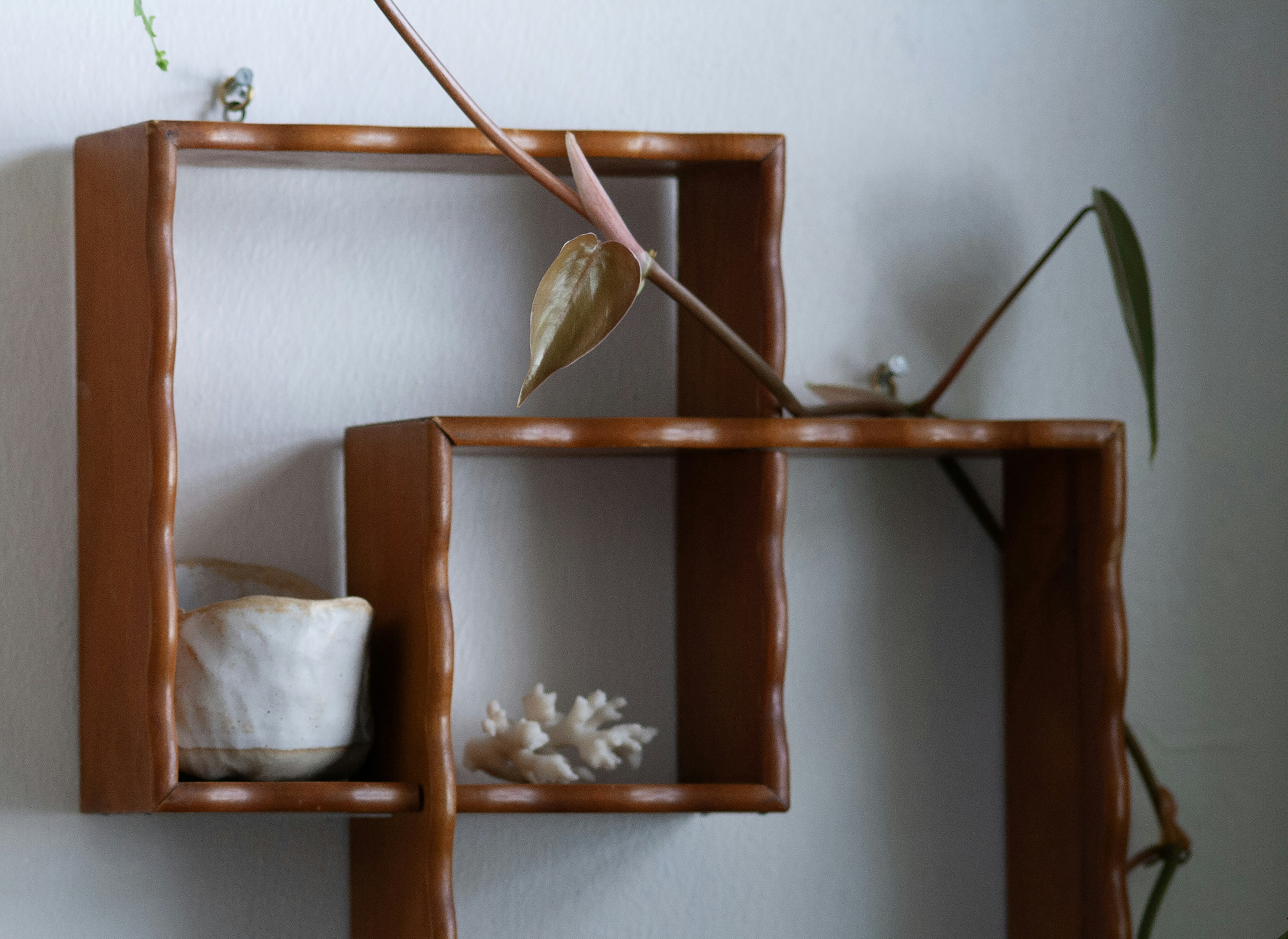 Photo by amy_harrison