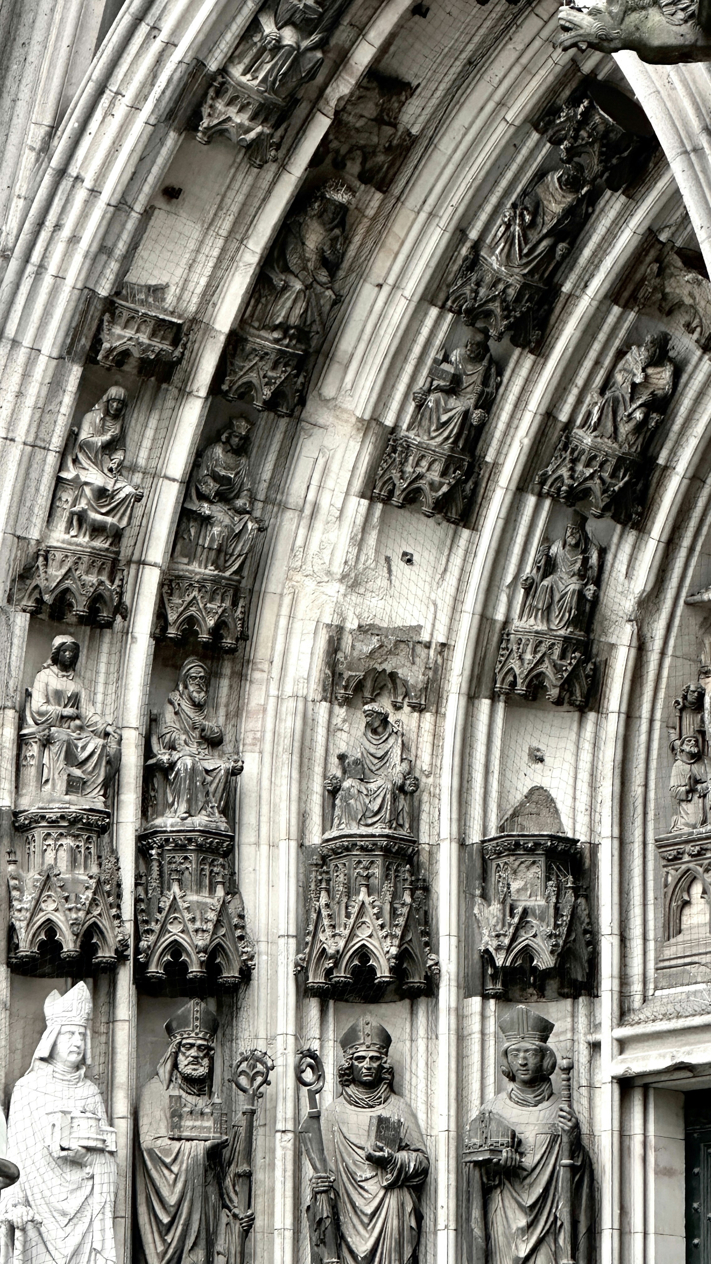 Photo by erfansttrvnd