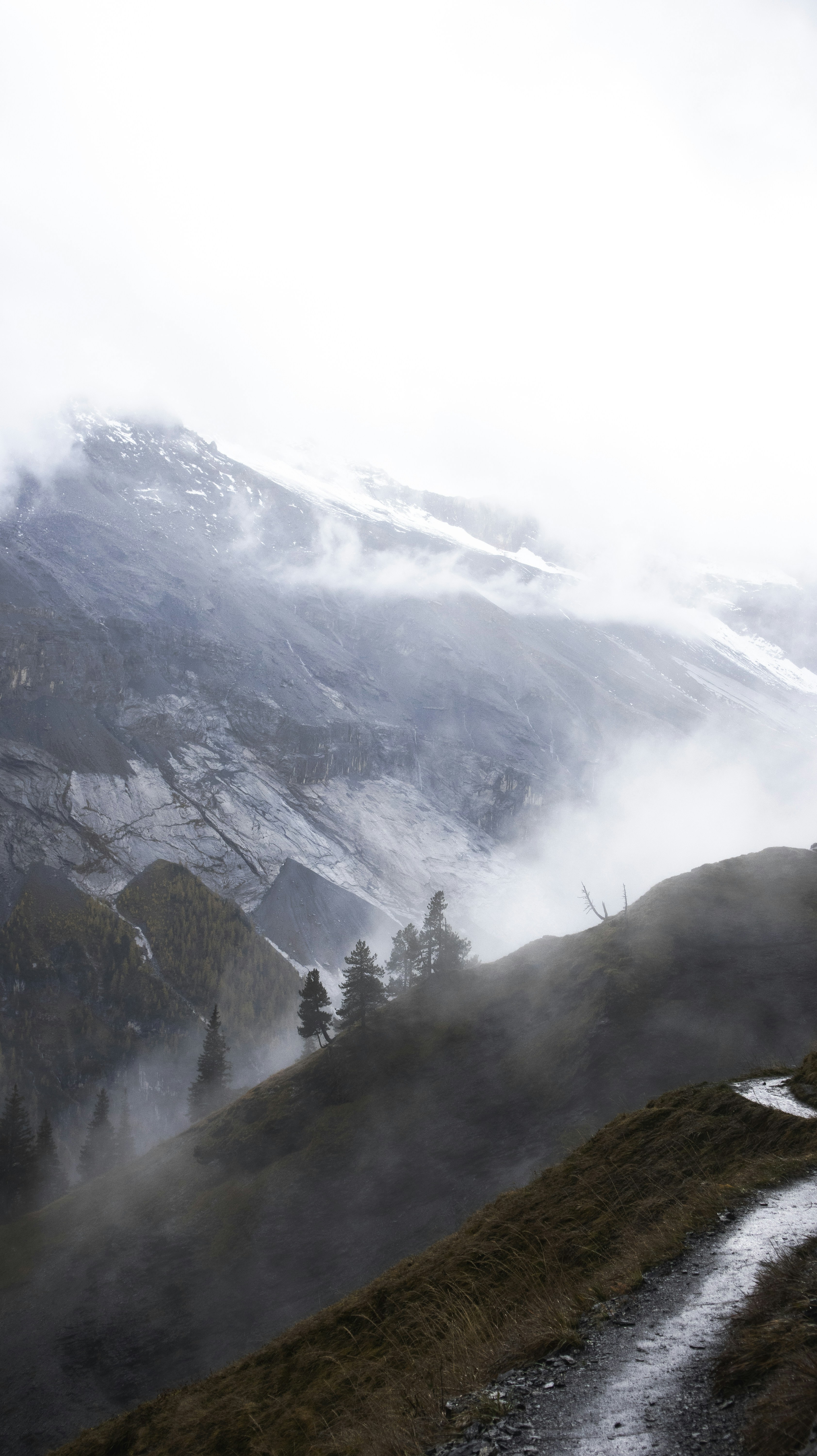 Photo by michaelvg94